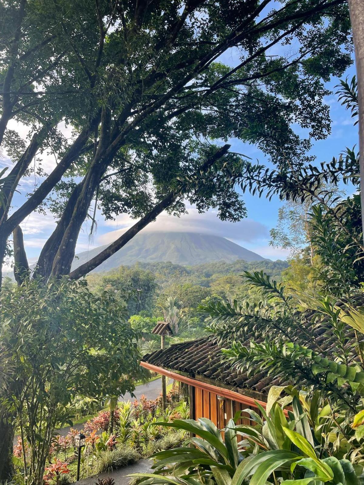 Premium Ecolodge