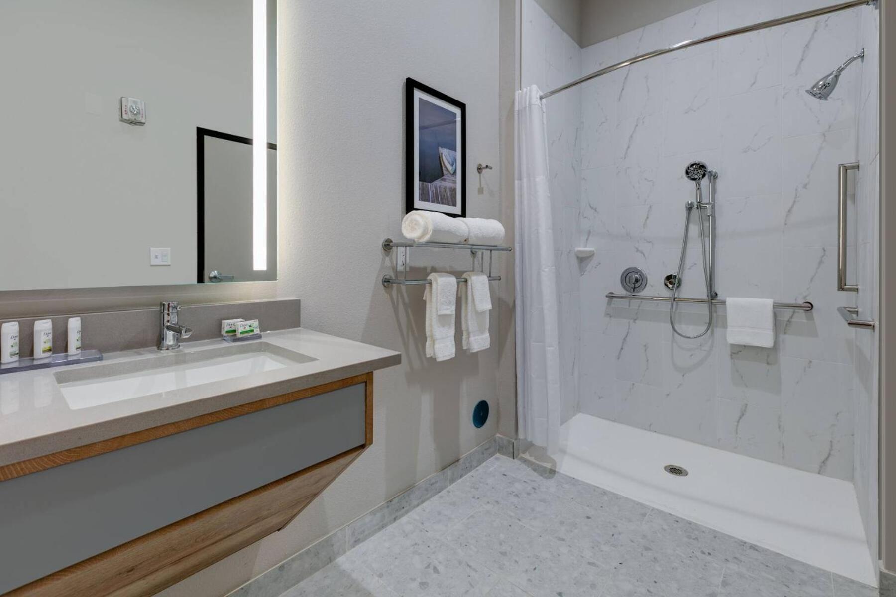 King Room with Roll-in Shower - Mobility Access/Non-Smoking - Photo 3