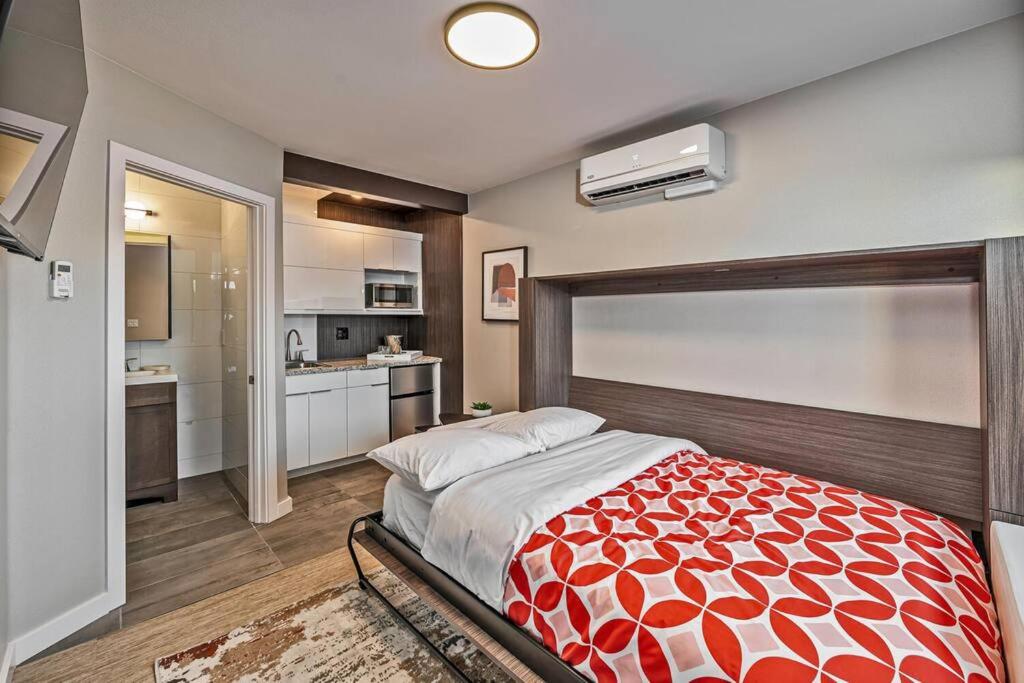 One-Bedroom Apartment photo 1