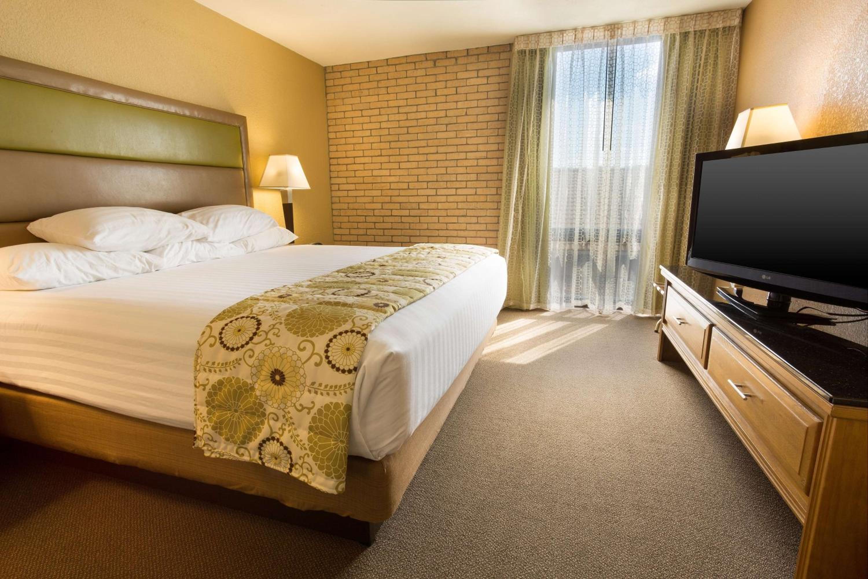 King Suite with Sofa Bed - Photo 1