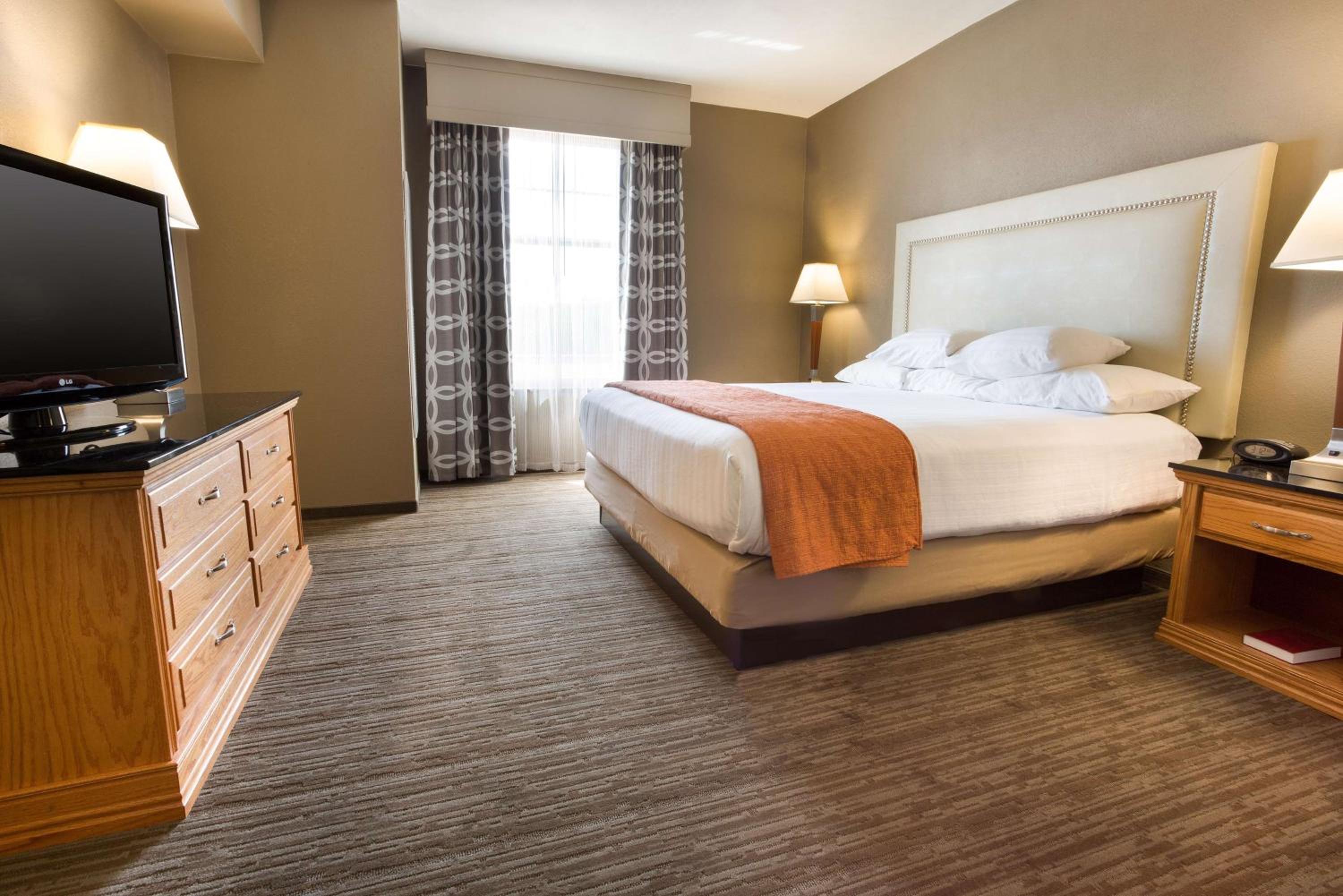 King Suite with Sofa Bed