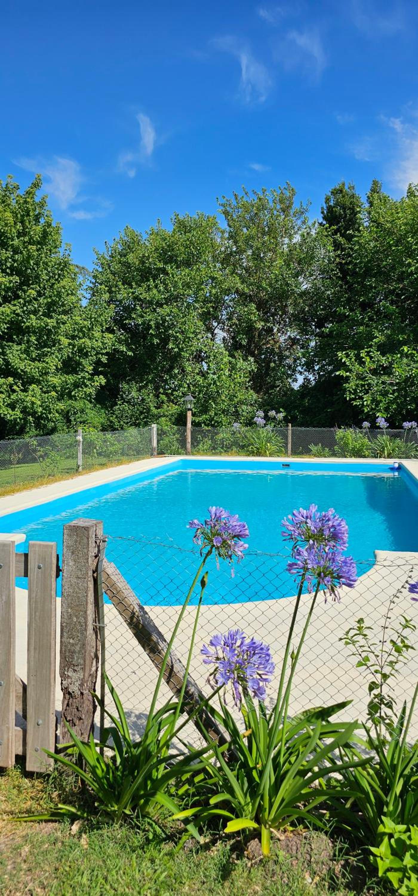 Holiday Home photo 3