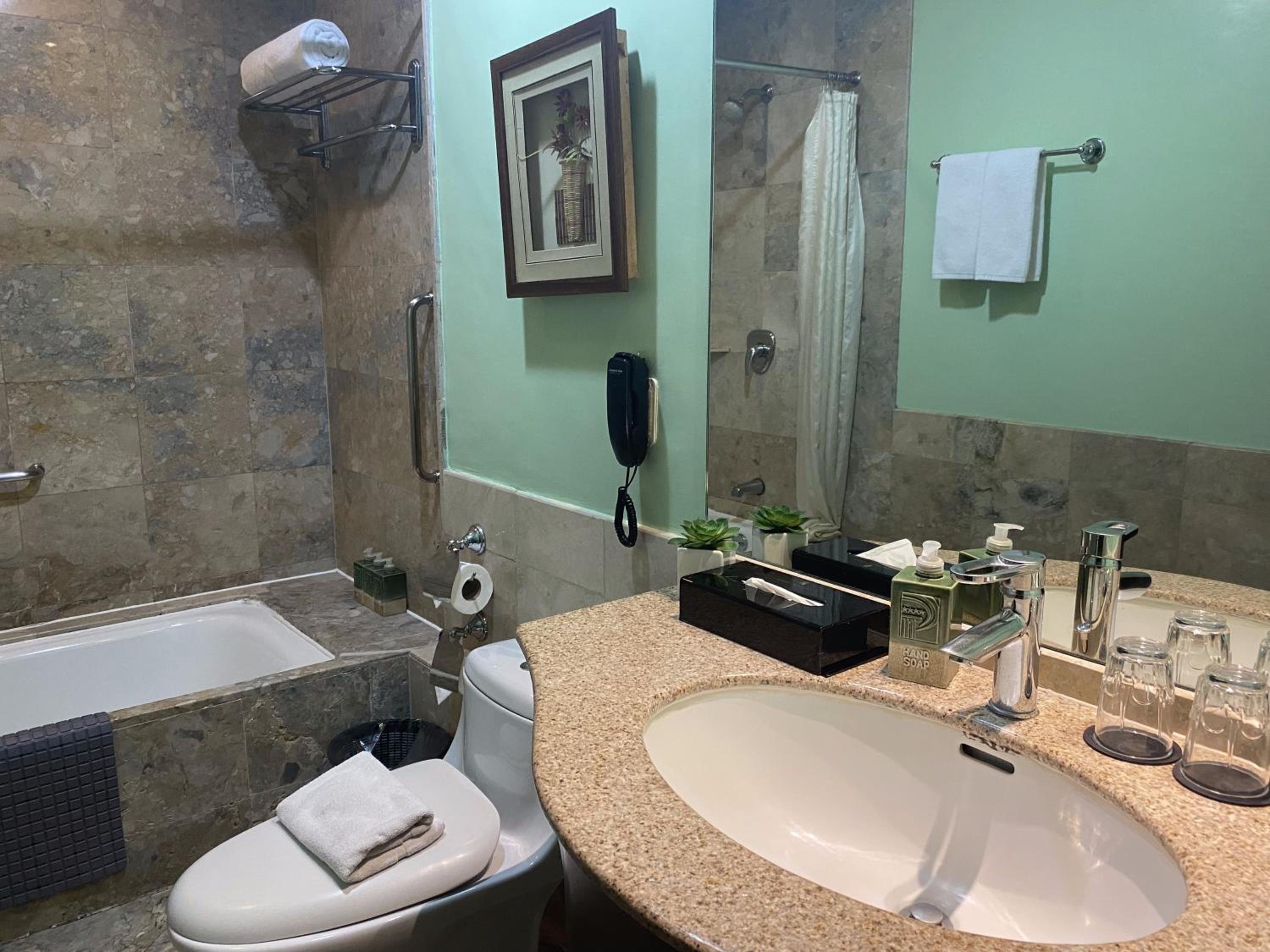 Deluxe Double or Twin Room - Photo 3