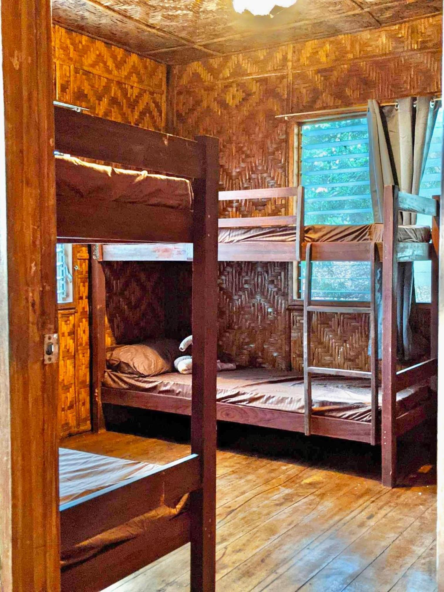 Bunk Bed in Mixed Dormitory Room photo 1