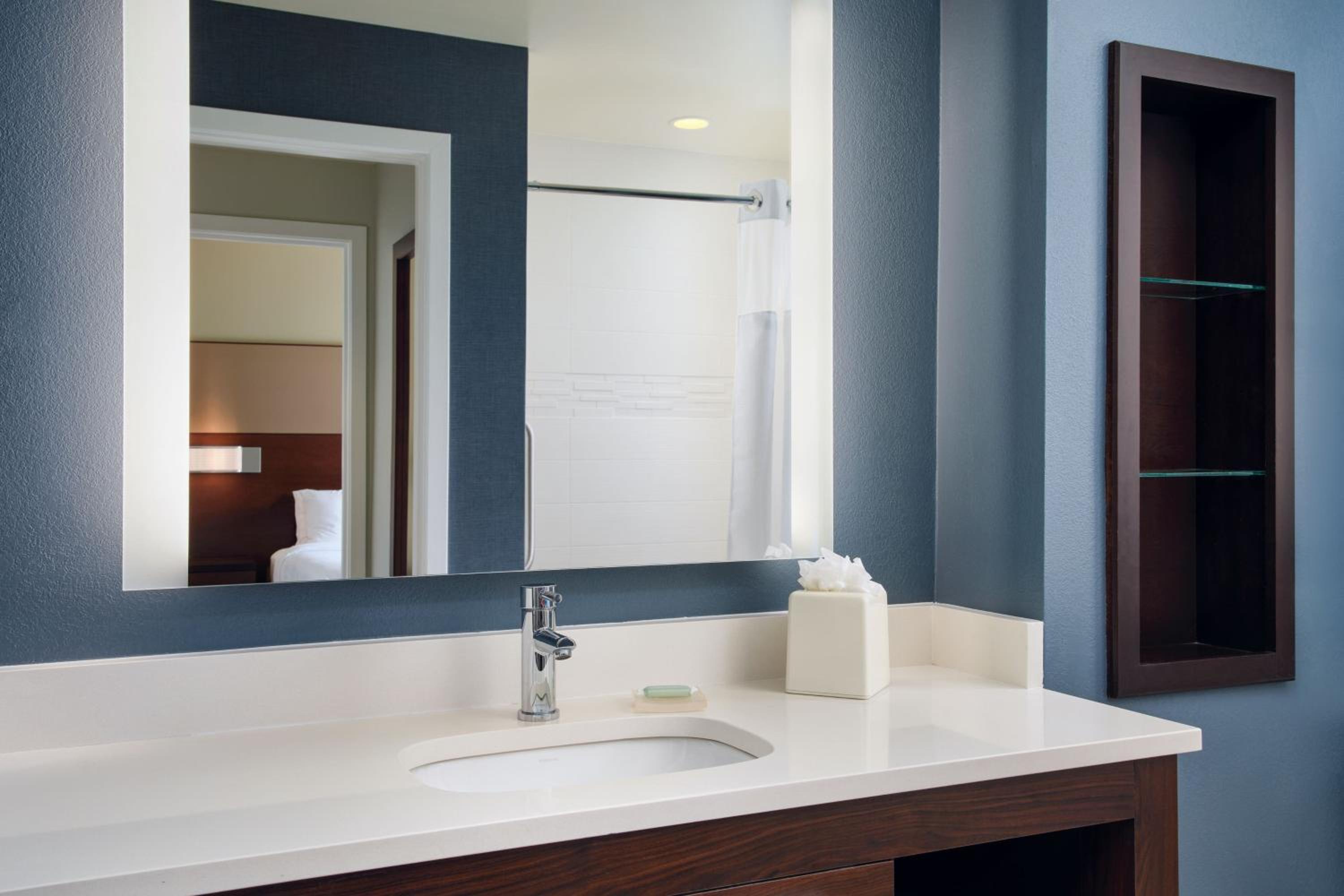 One-Bedroom King Suite with Sofa Bed and Roll-in Shower - Mobility Accessible photo 2