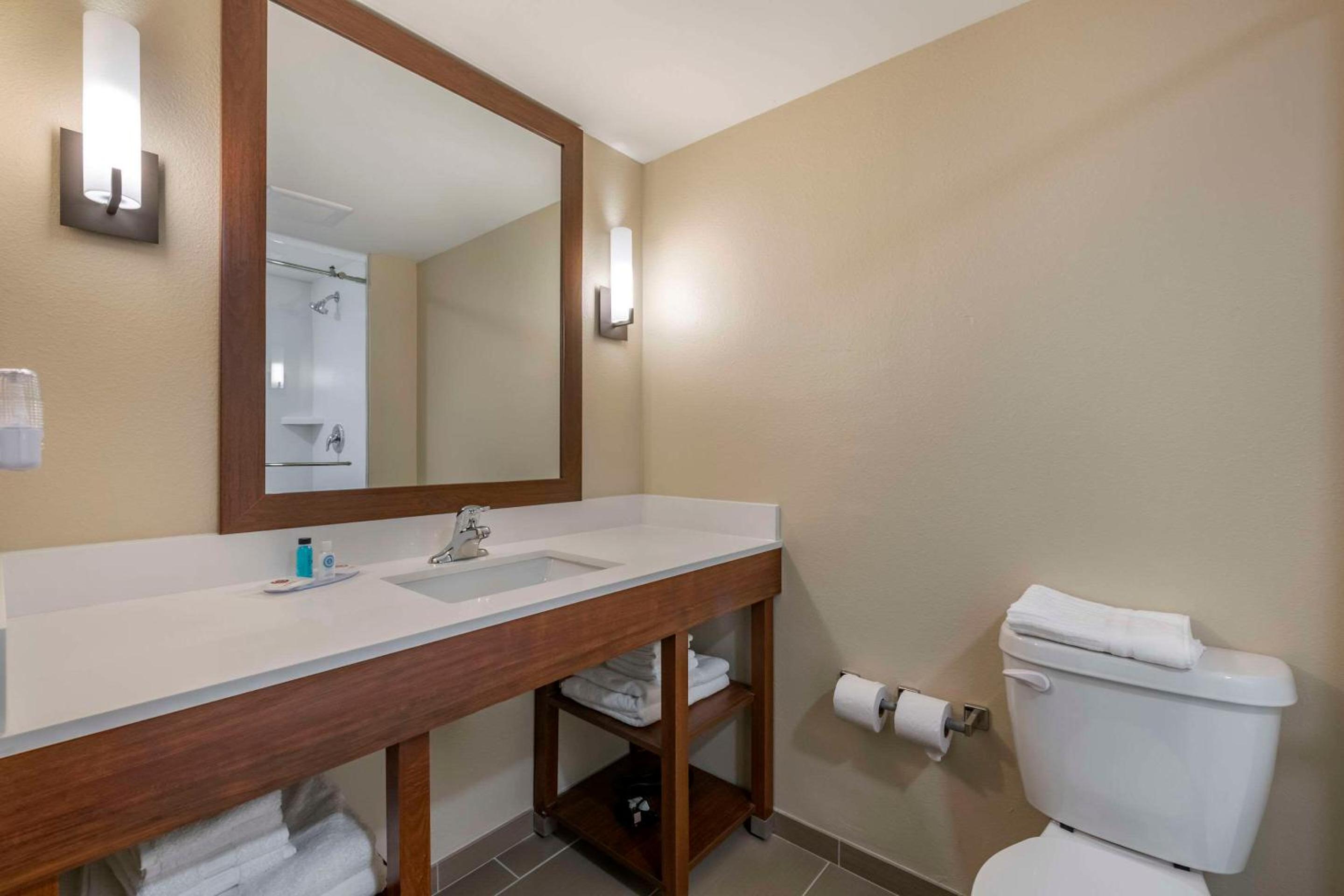 King Suite - Non-Smoking - Photo 4