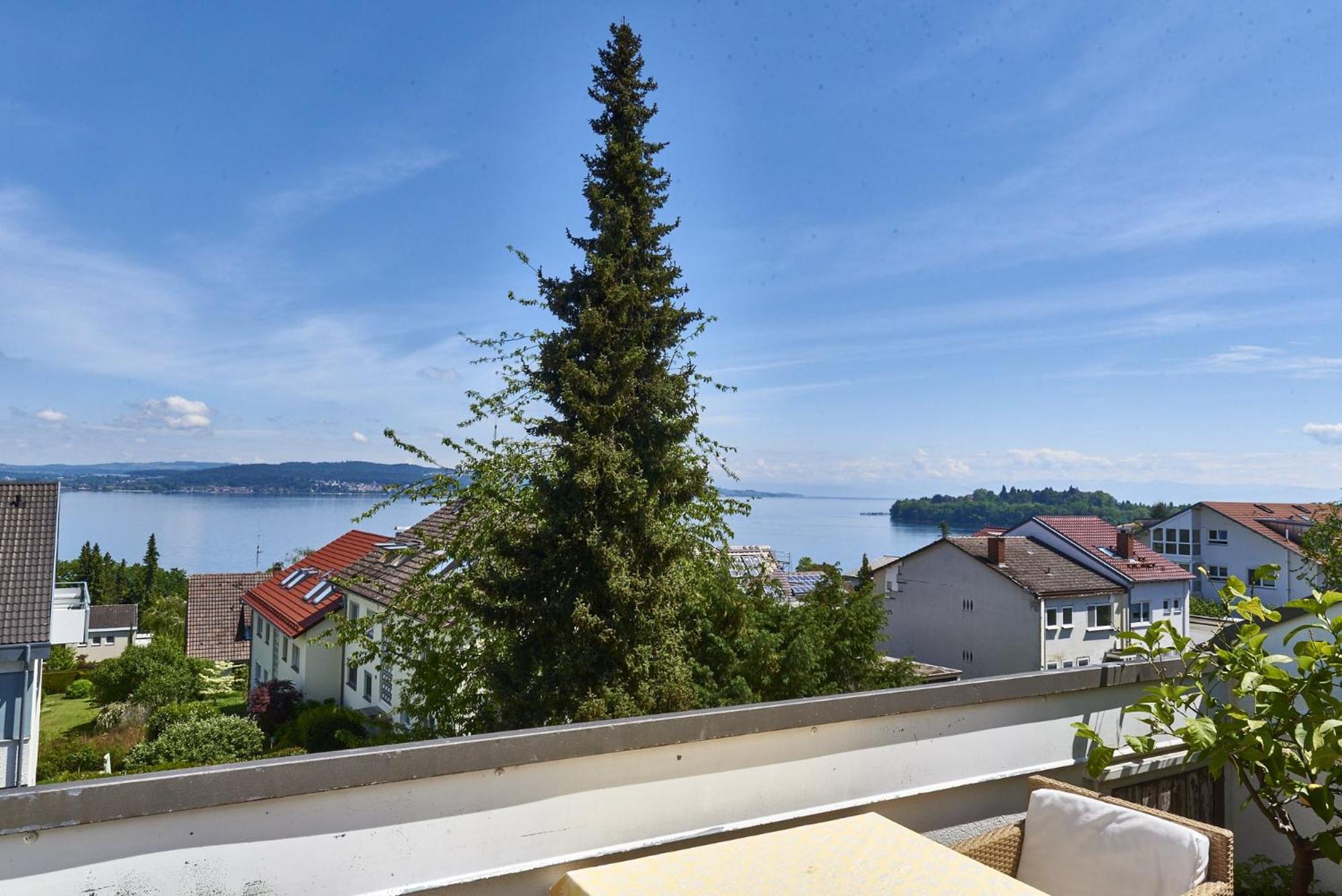 Superior One-Bedroom Apartment with Balcony photo 3