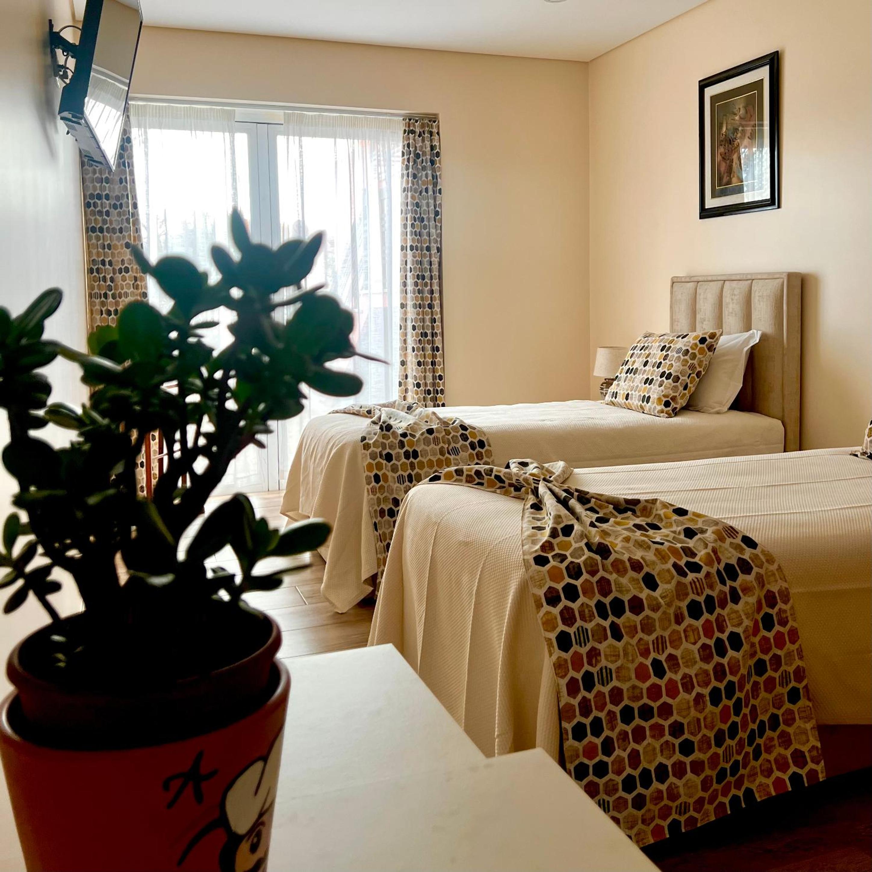 Single Bed in Mixed Dormitory Room photo 1