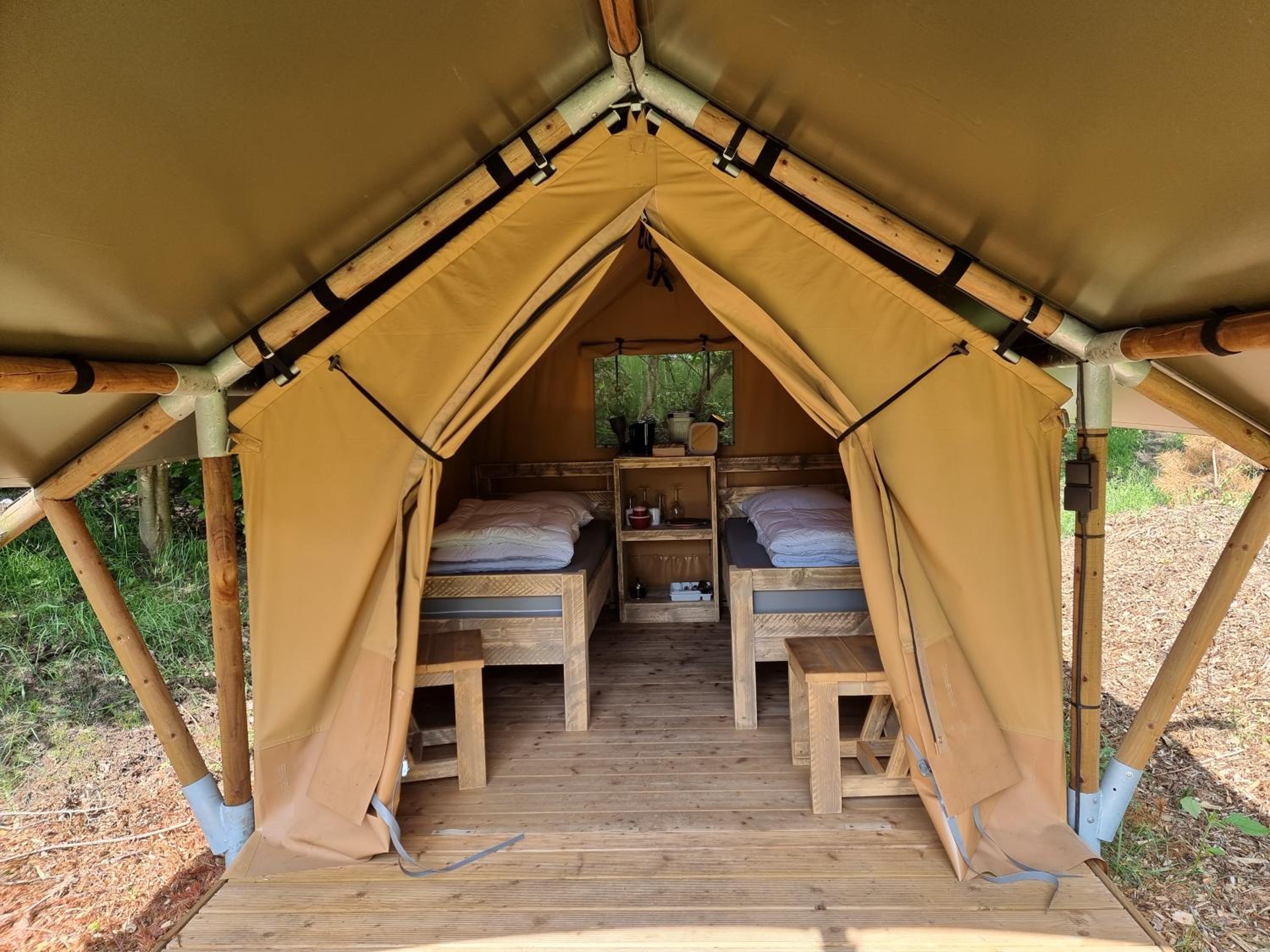 TENT 1 photo 3