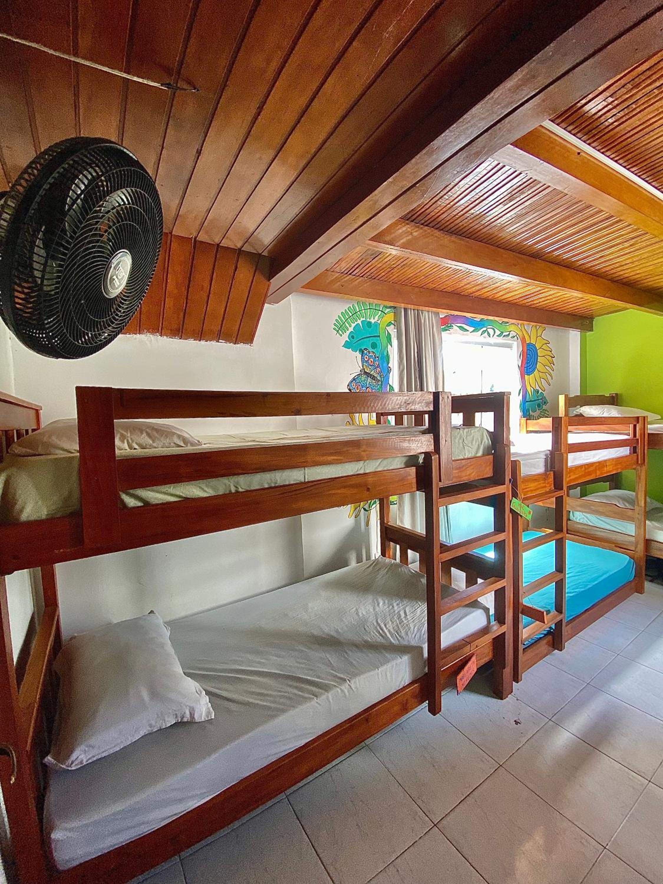 Bunk Bed in Mixed Dormitory Room photo 3