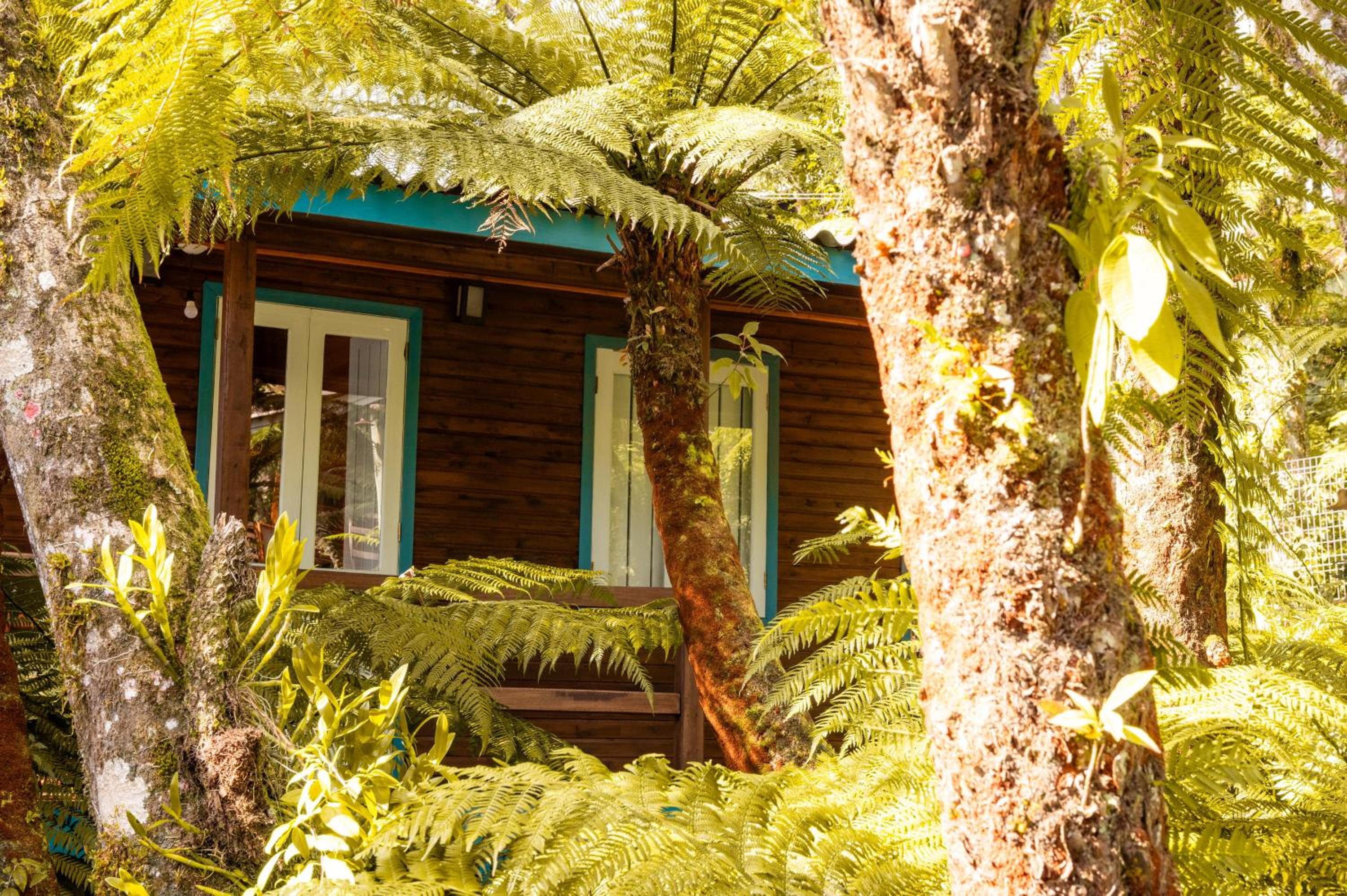 Superior Chalet - Photo 4