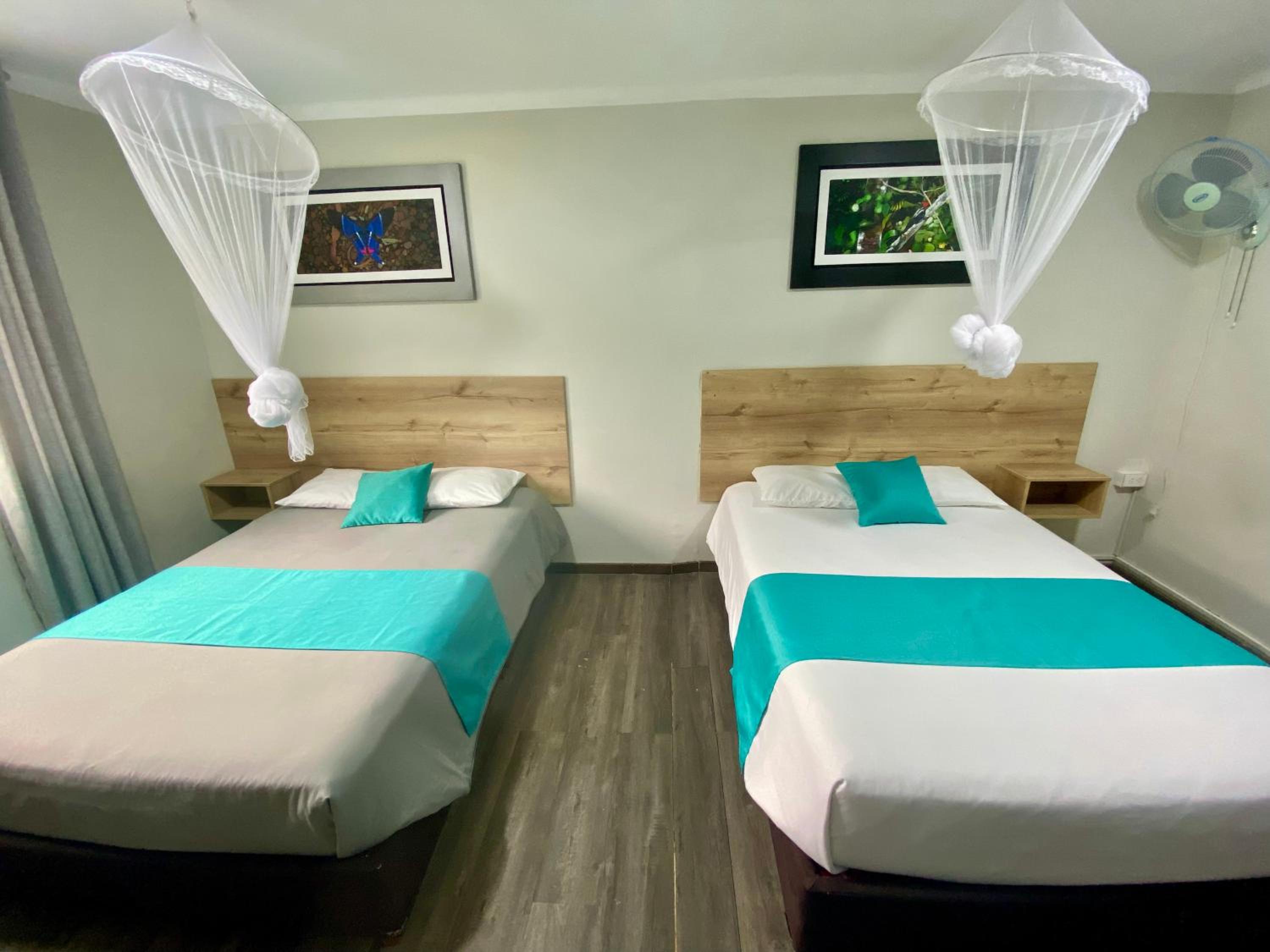 Twin Room with Private External Bathroom photo 3