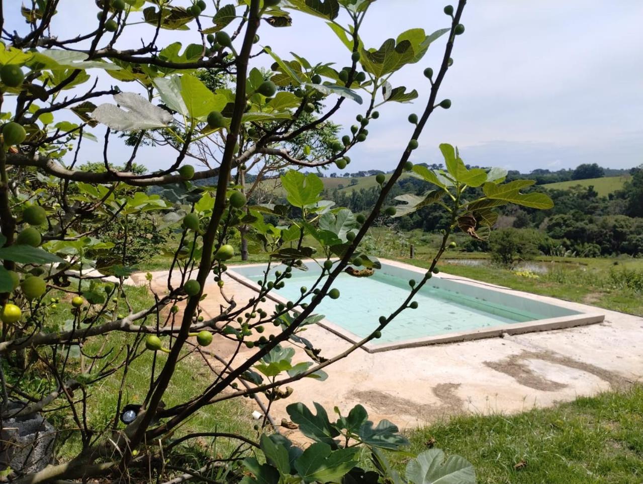 Double Room with Pool View - Photo 6