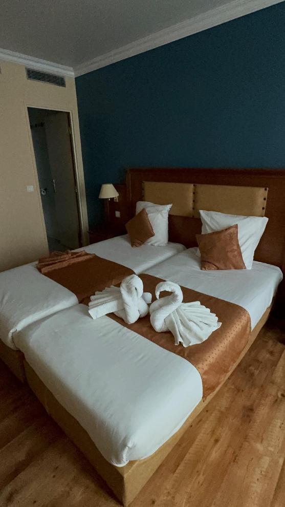Superior Twin Room photo 1