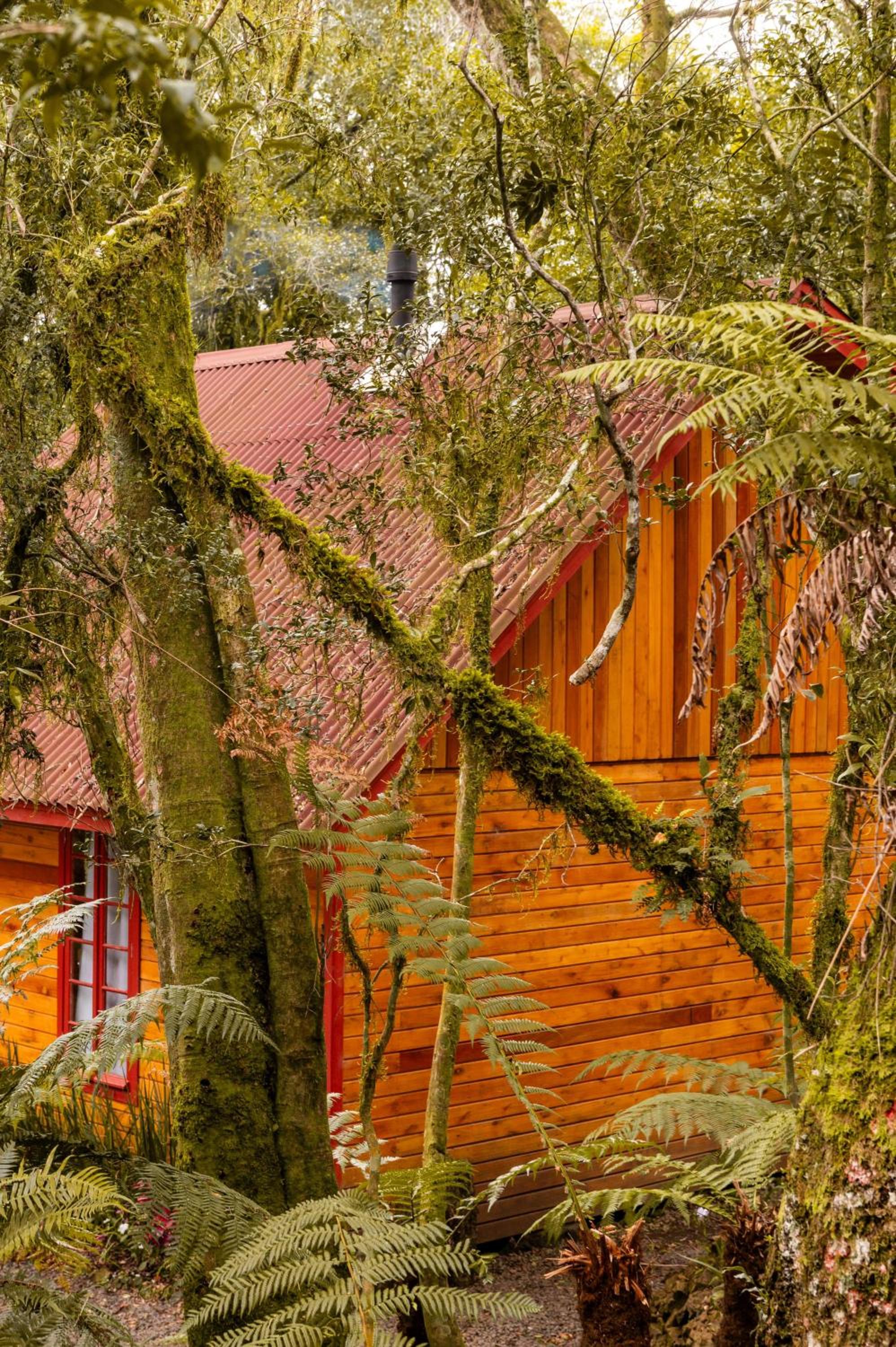 Chalet with Spa Bath  - Photo 13
