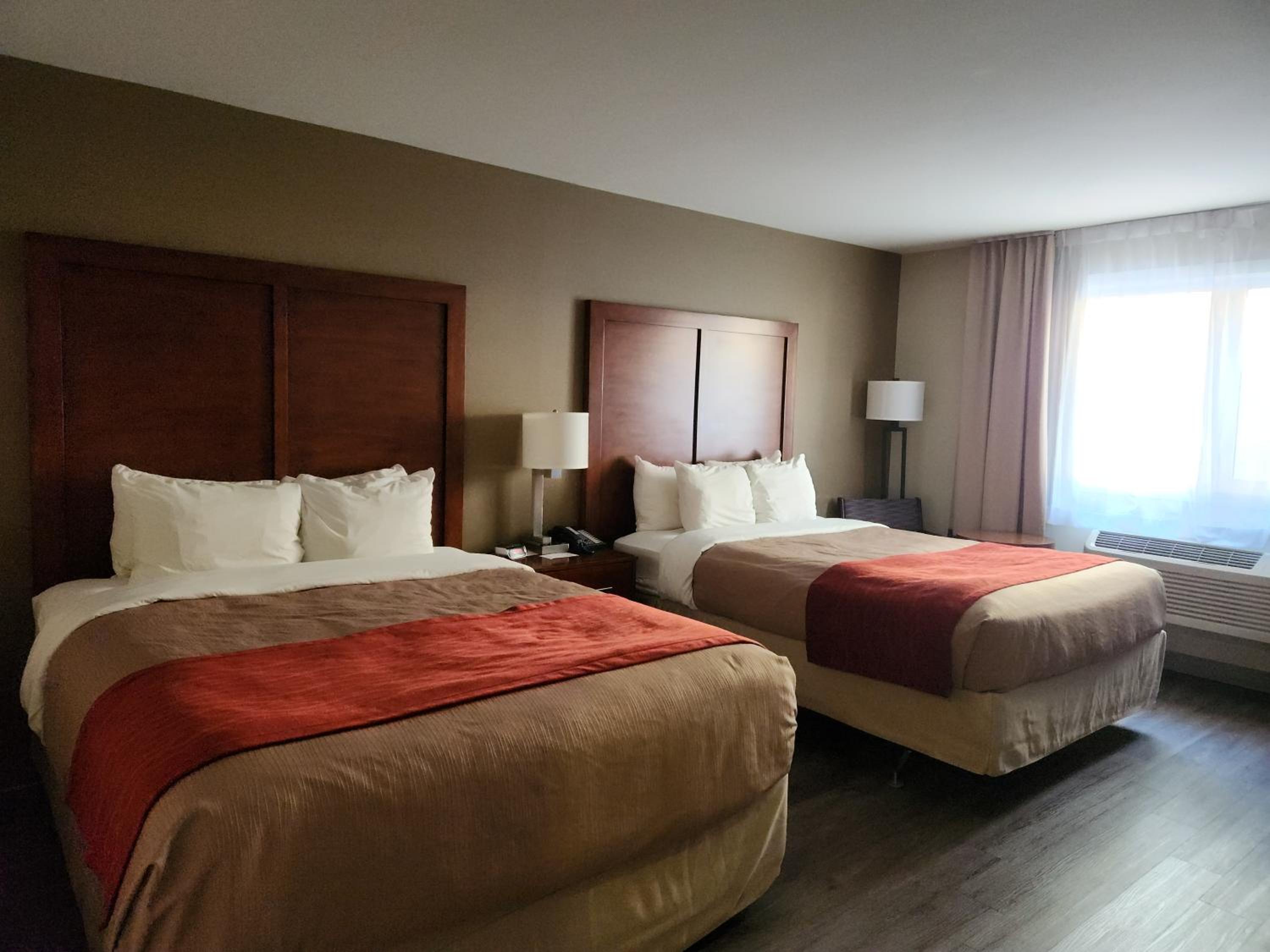 Superior Queen Room - Photo 1