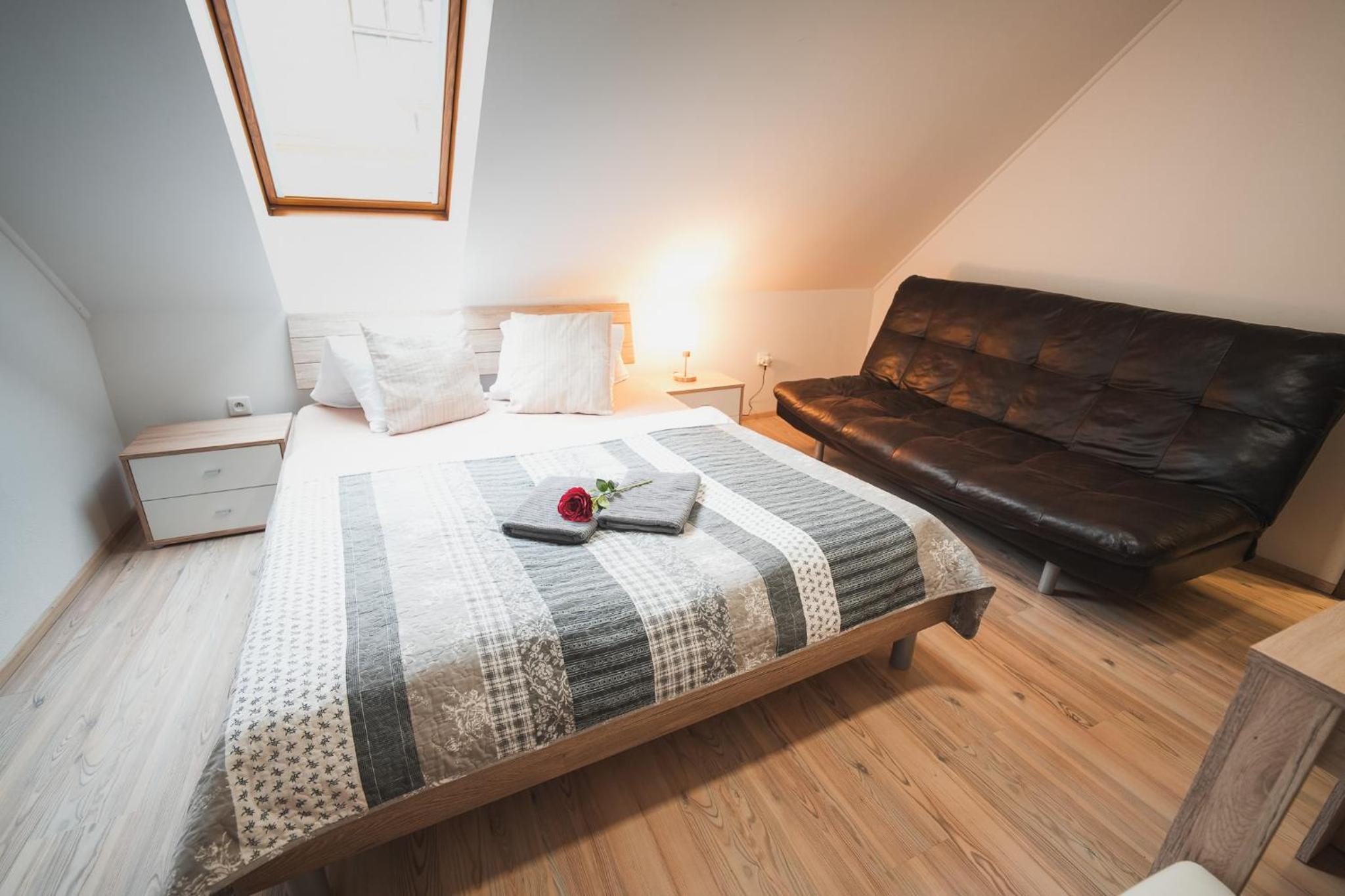 Studio with Sofa Bed
