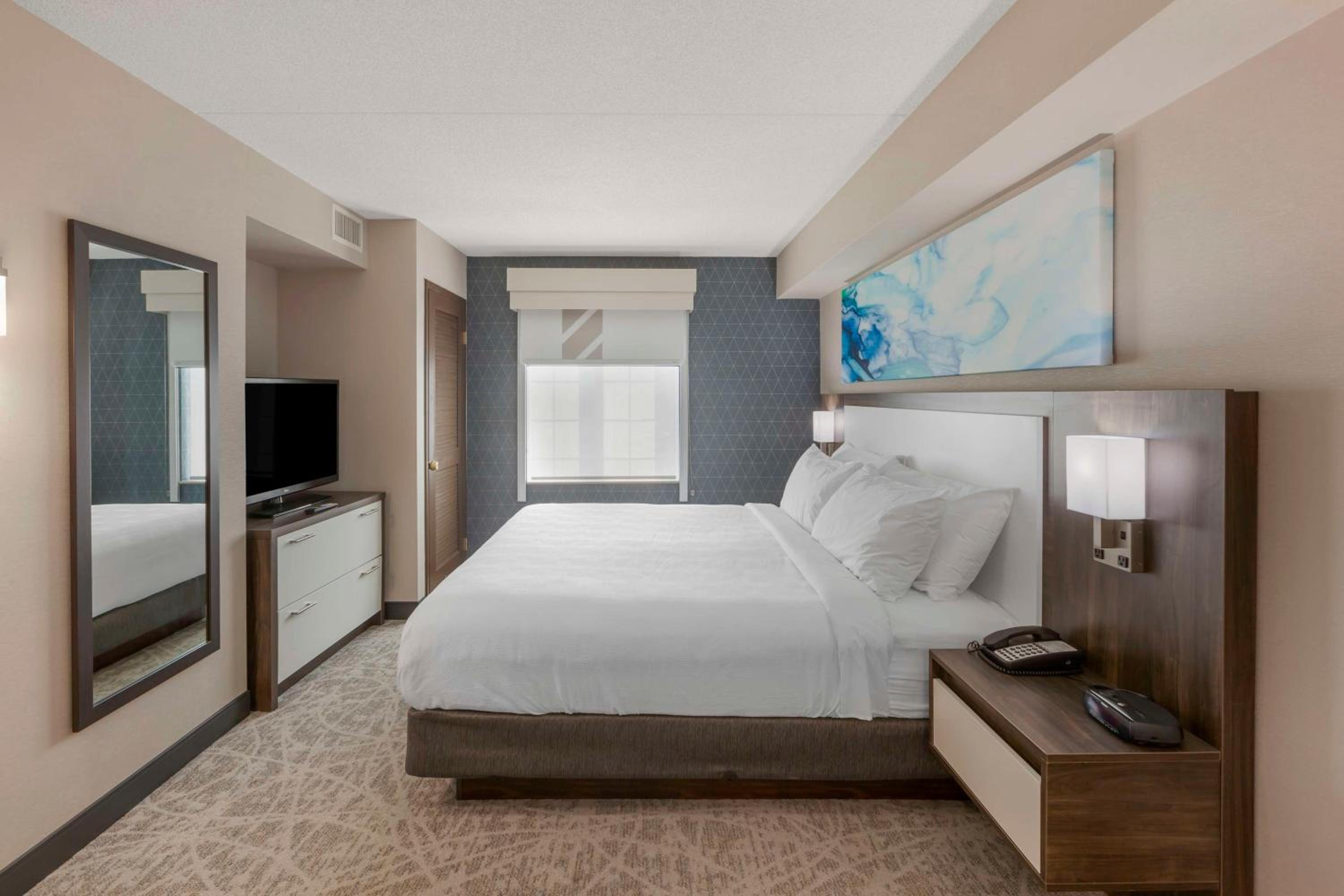 Large One-Bedroom King Suite - Photo 4