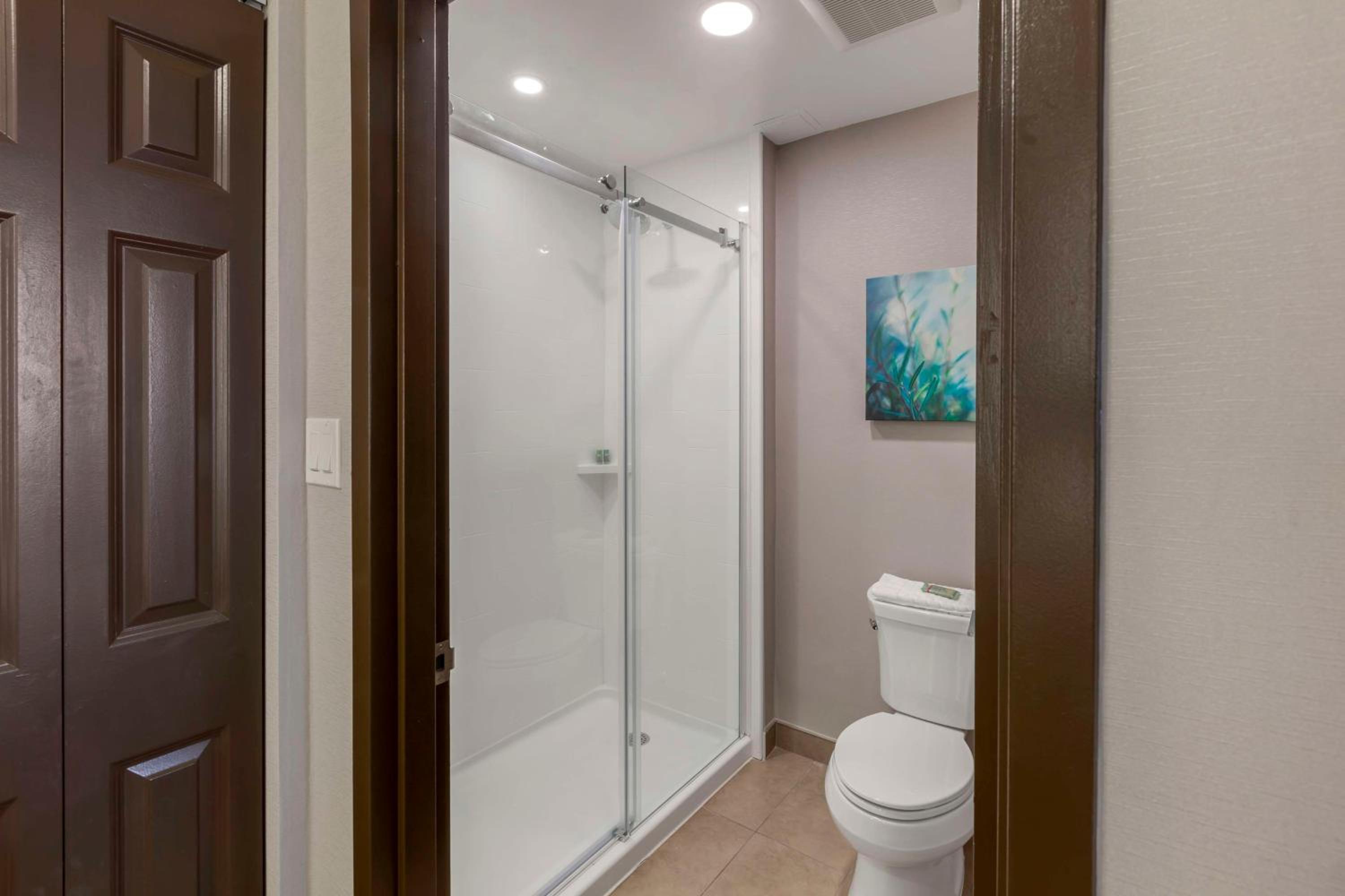 Large One-Bedroom King Suite - Photo 5