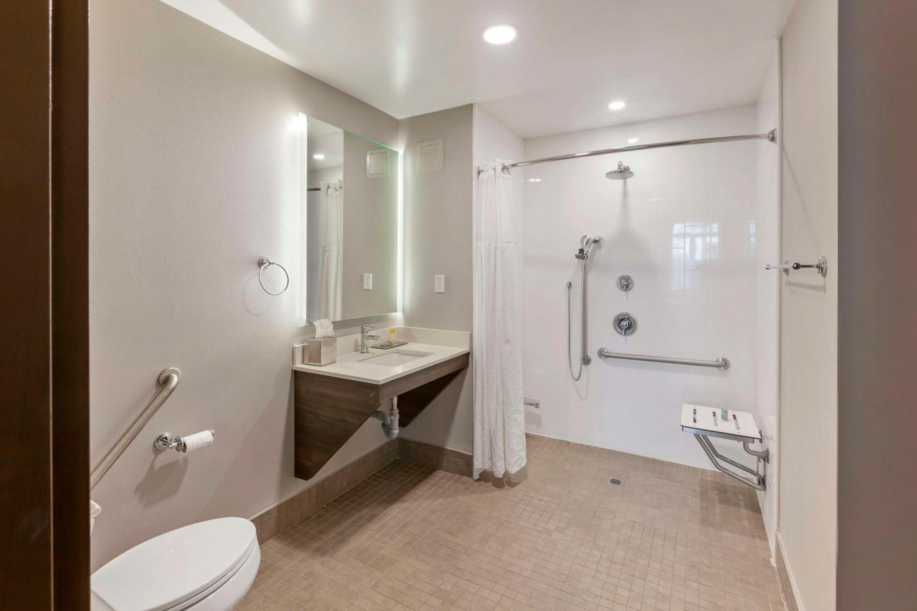 One-Bedroom King Suite with Roll-In Shower, Sofa Bed and Full Kitchen - Disability/Non-Smoking - Photo 3