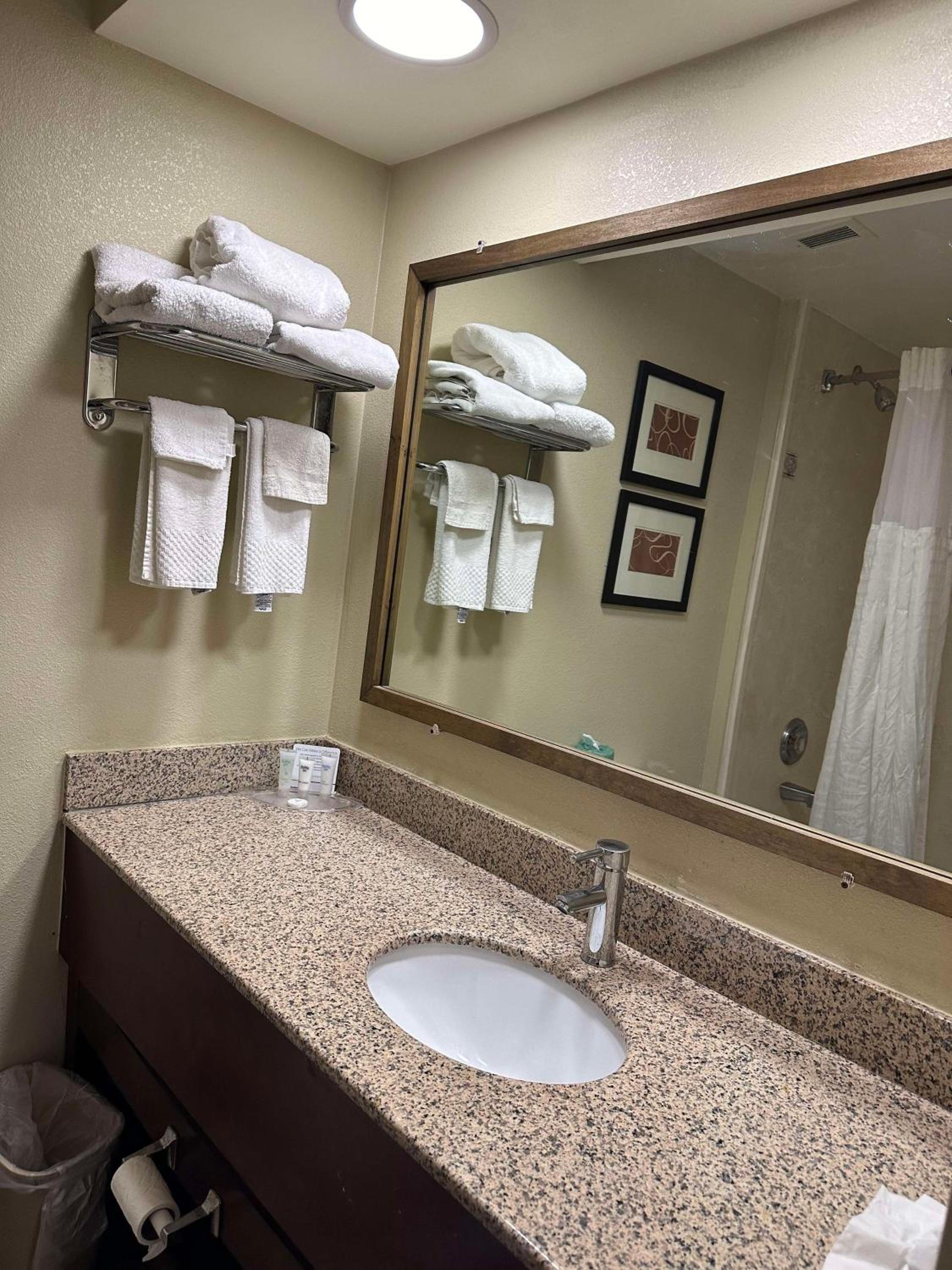 King Suite with Sofa Bed and Jetted Tub - Balcony/Non-Smoking photo 3
