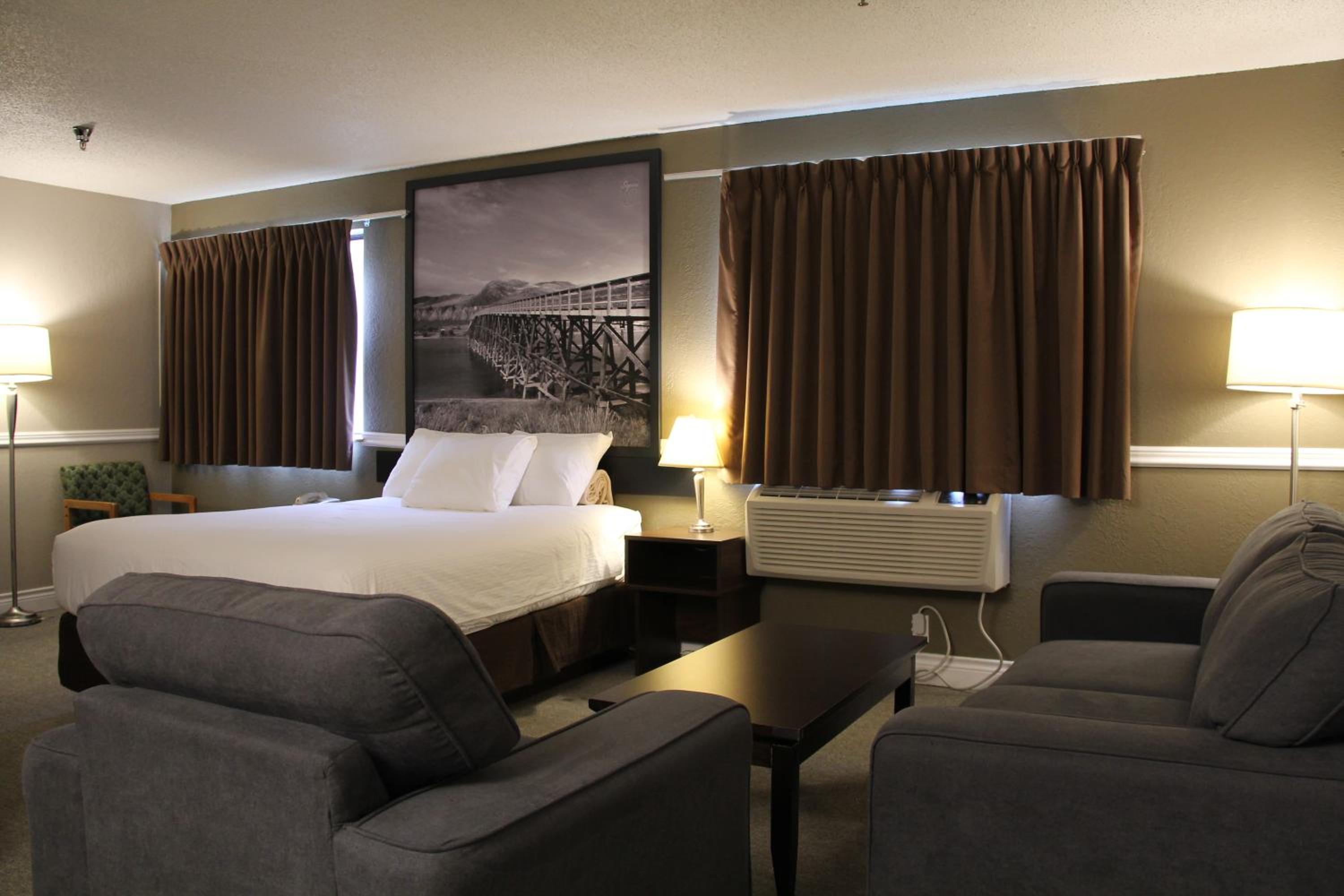 One-Bedroom Suite - Photo 4