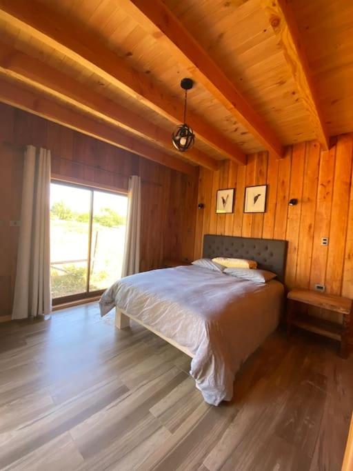 One-Bedroom House photo 3
