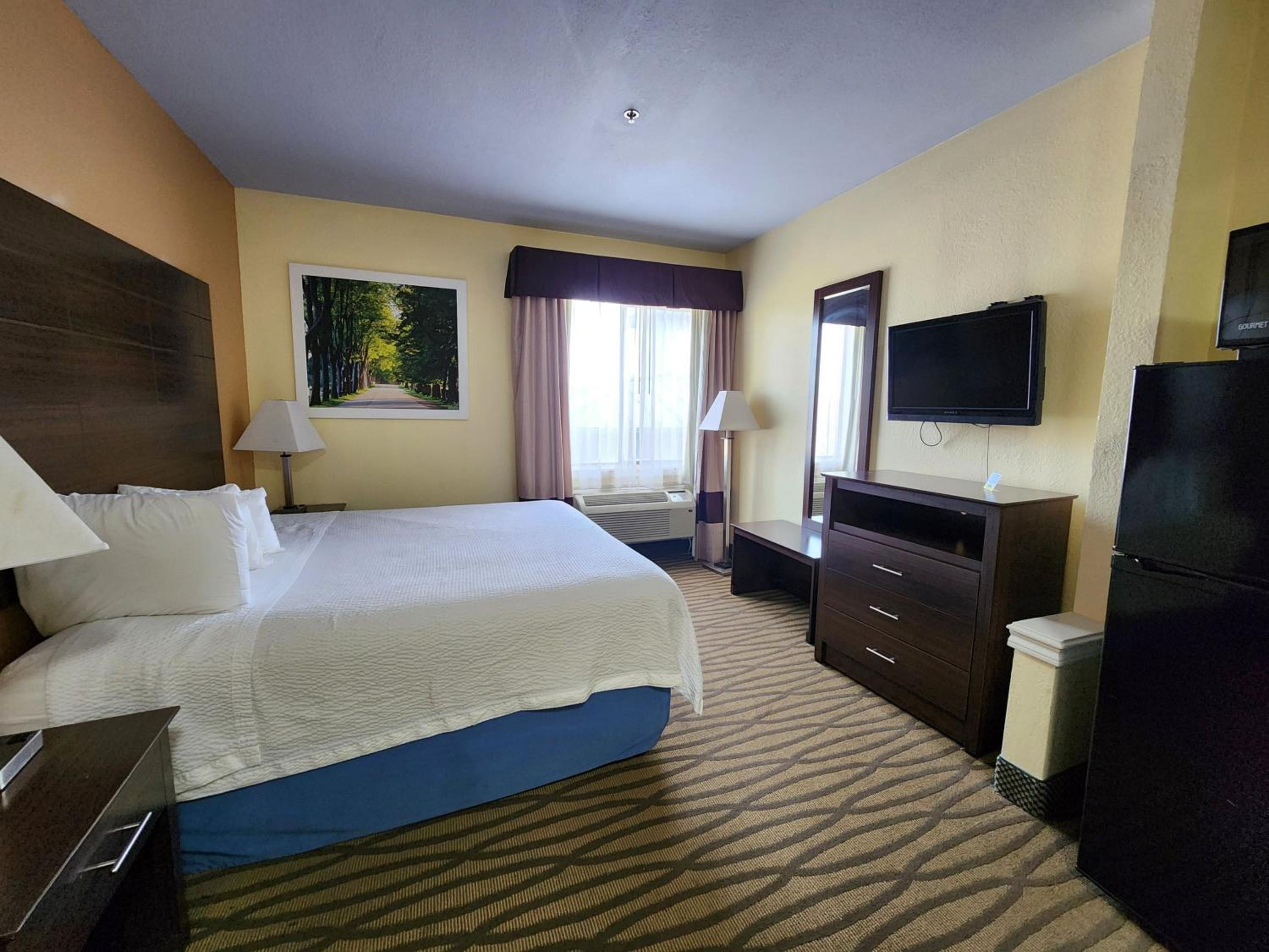 1 King Bed | Smoking, Micfridge - Photo 8