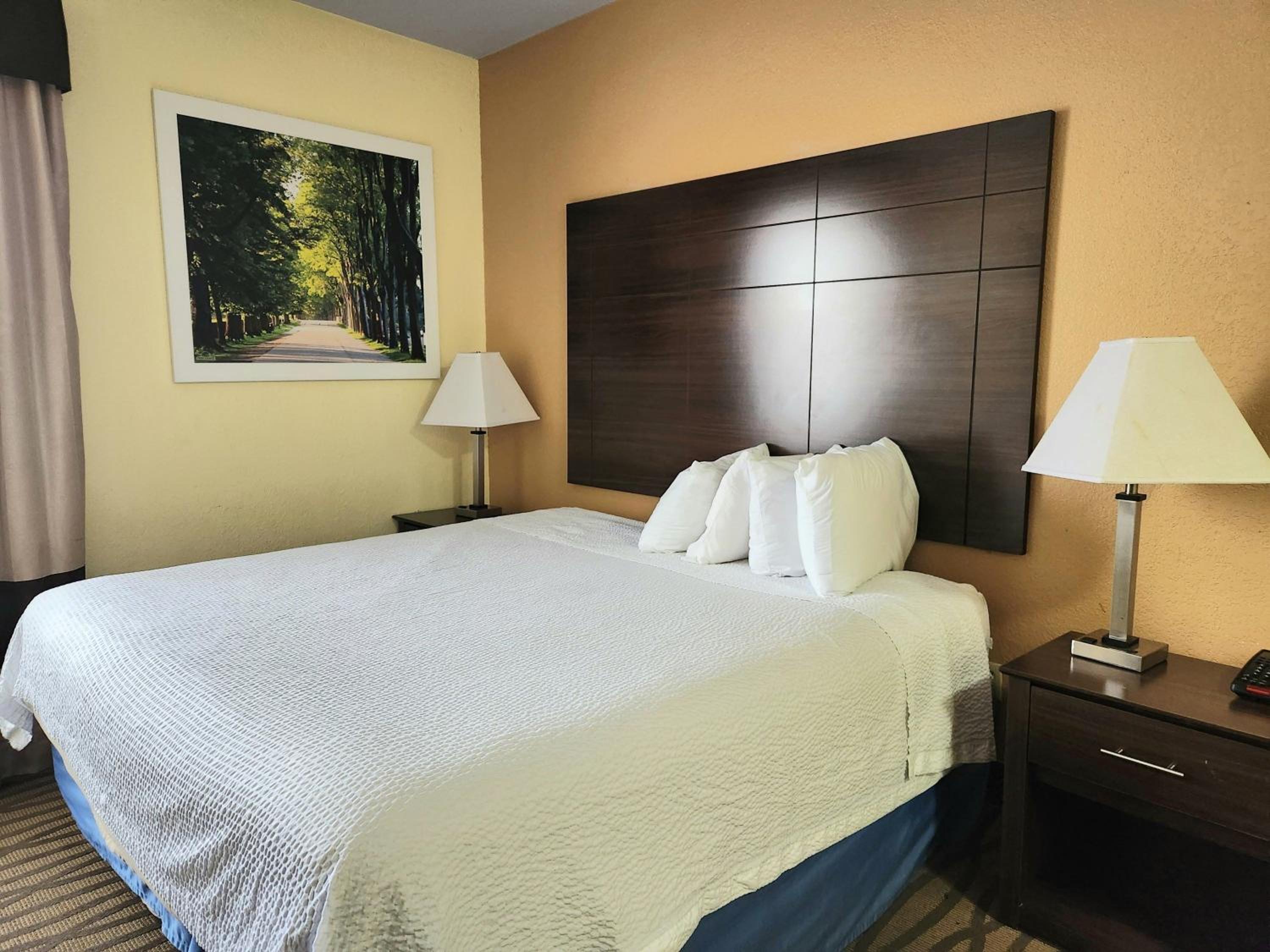 1 King Bed | Non-Smoking, Micfridge - Photo 6
