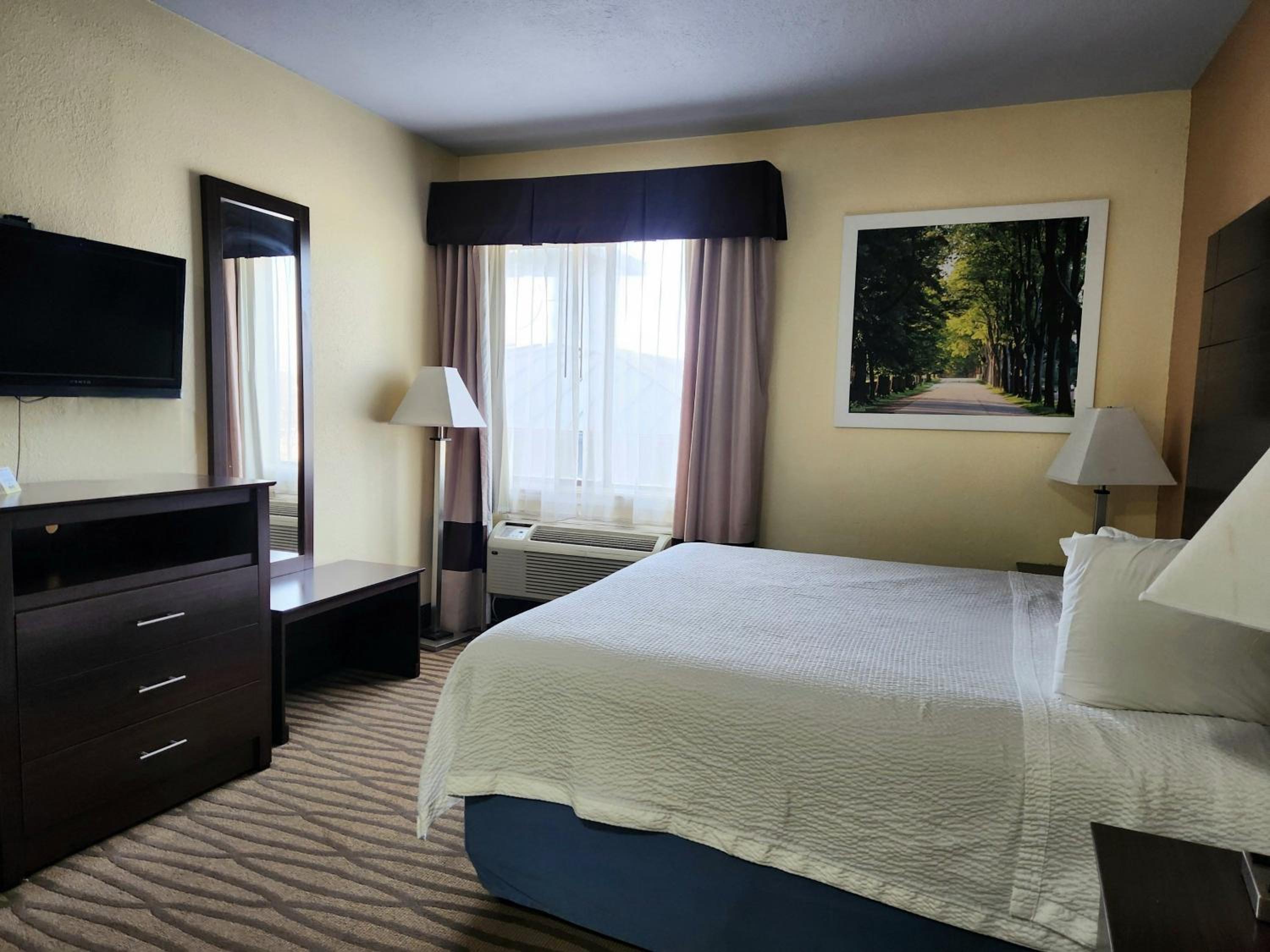 1 King Bed | Suite, Nsmk, Hot Tub, Micfridge - Photo 2