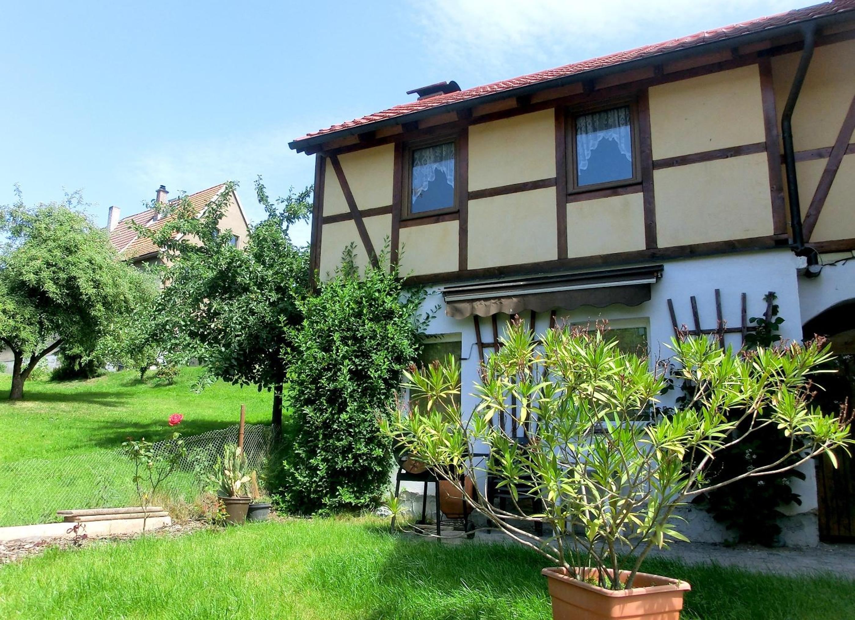 Apartment with Terrace - Photo 8