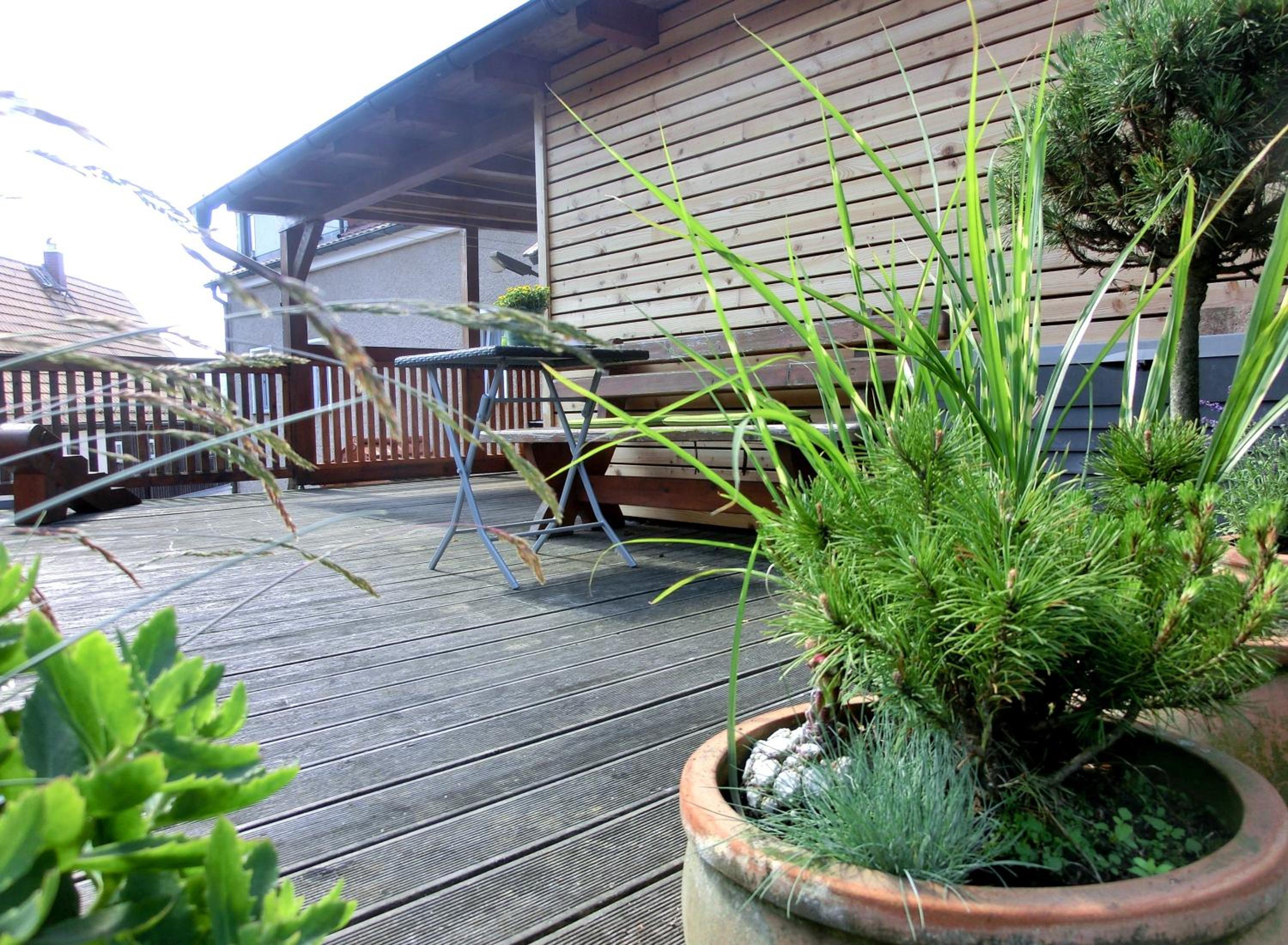 Apartment with Terrace - Photo 11