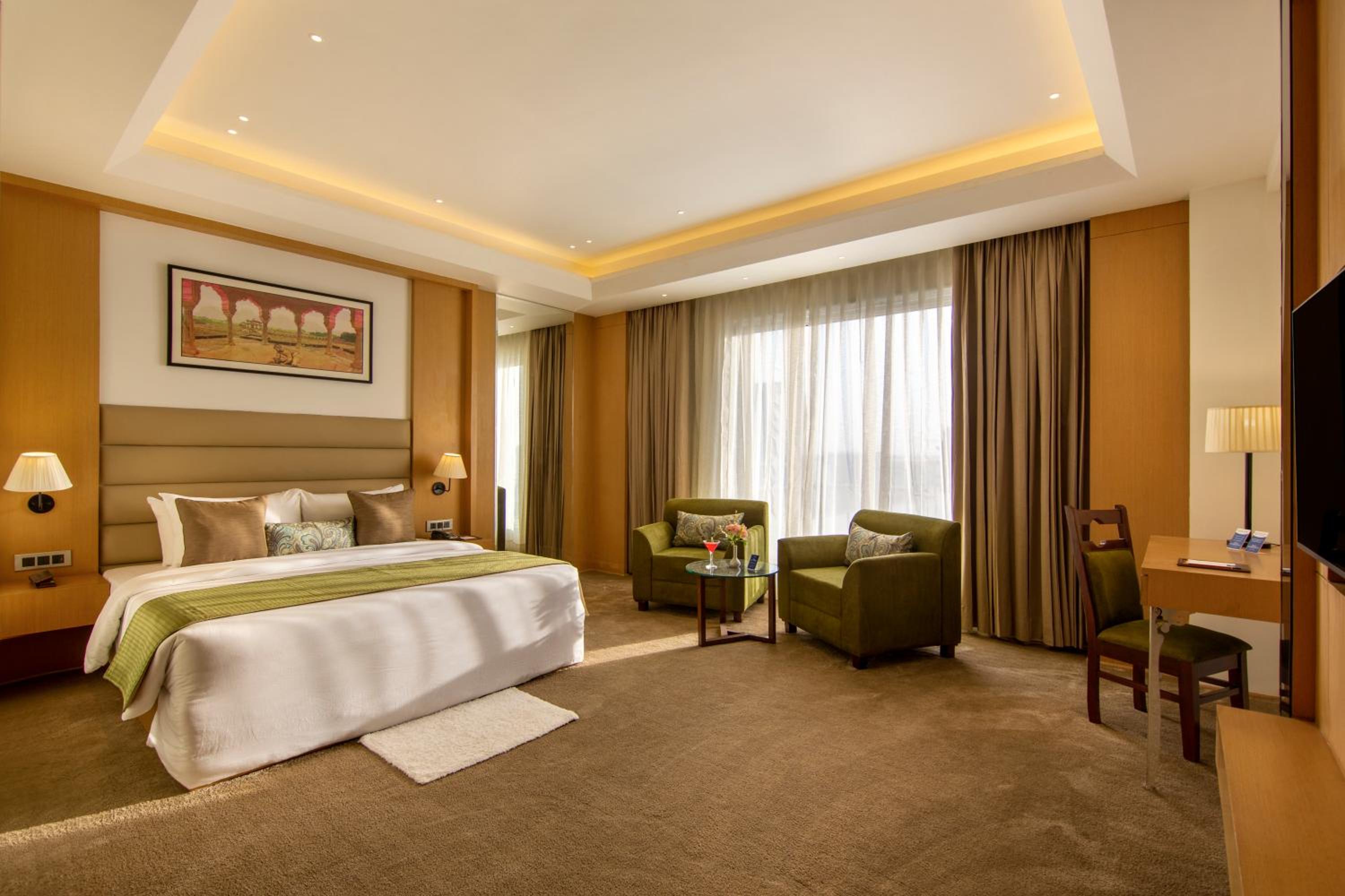 Deluxe Suite - 1 King Bed - Photo 1