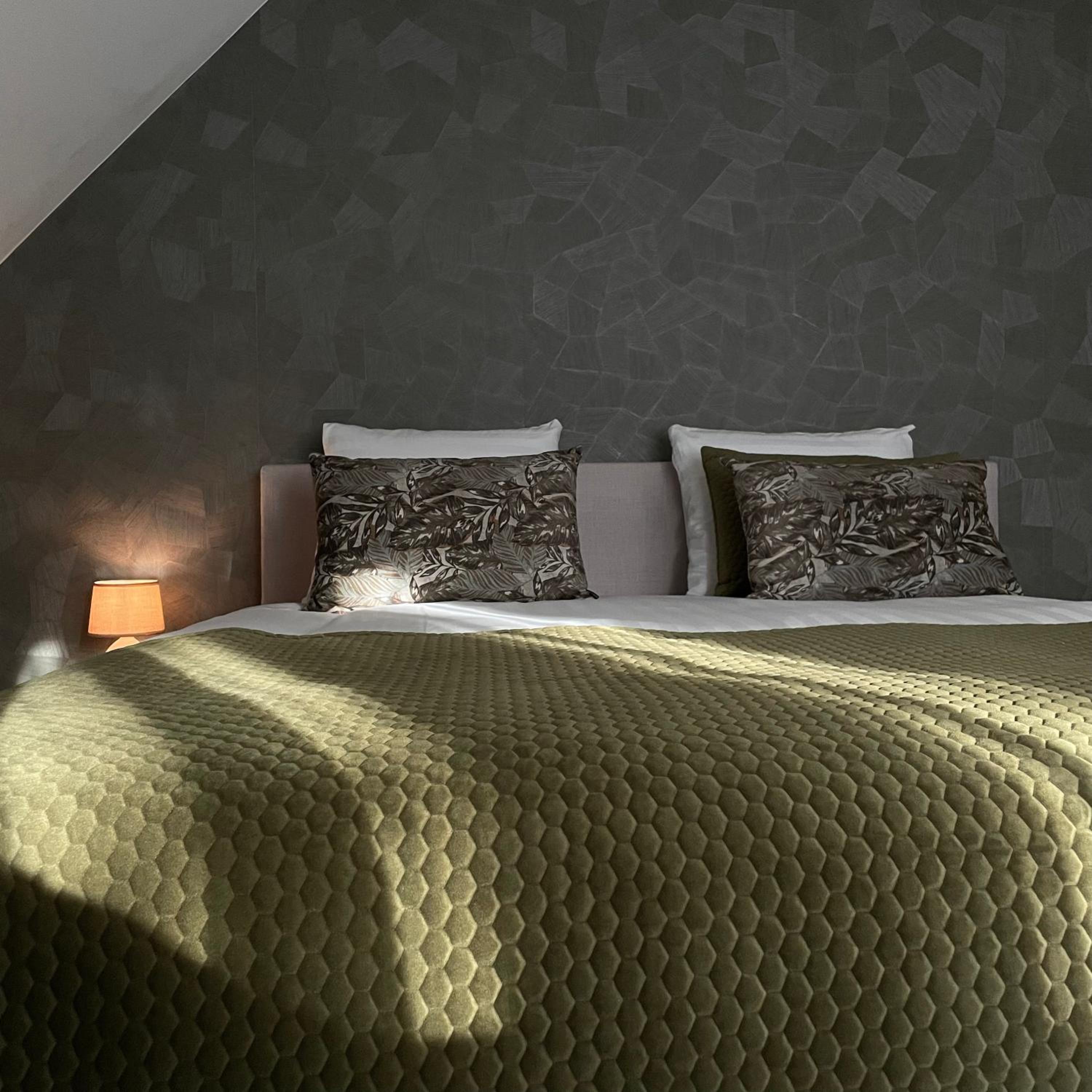 Suite - Photo 1