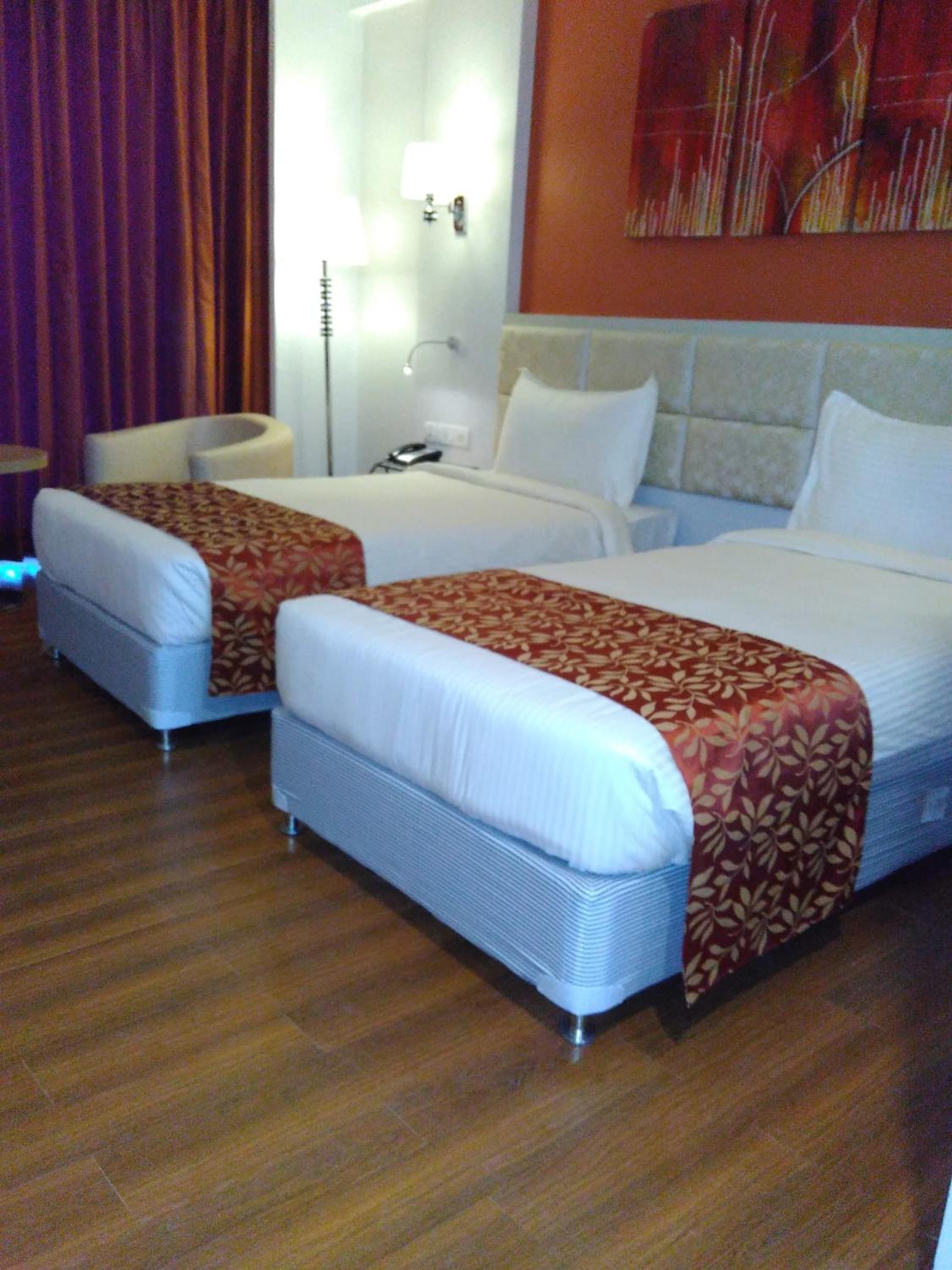 Deluxe Double or Twin Room photo 3