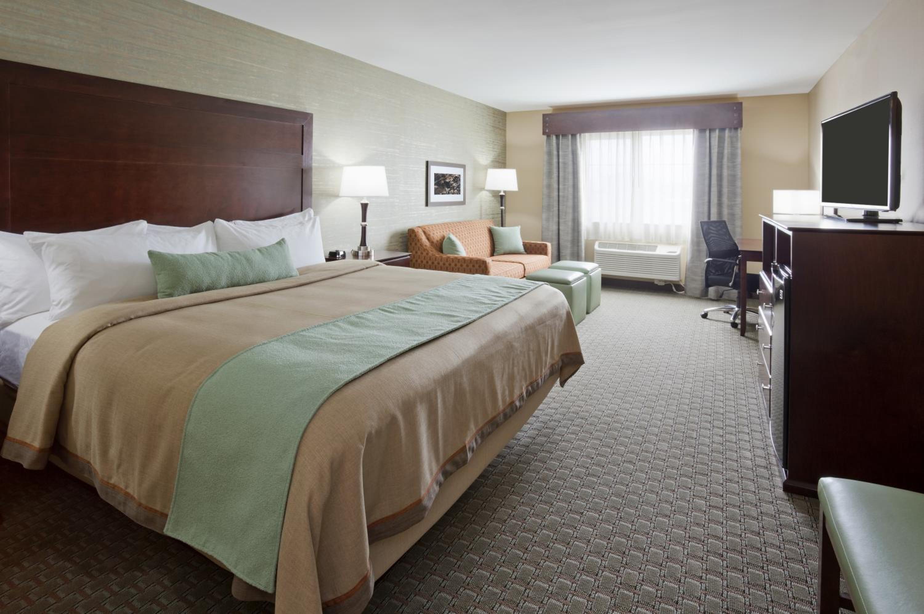 Executive King Suite