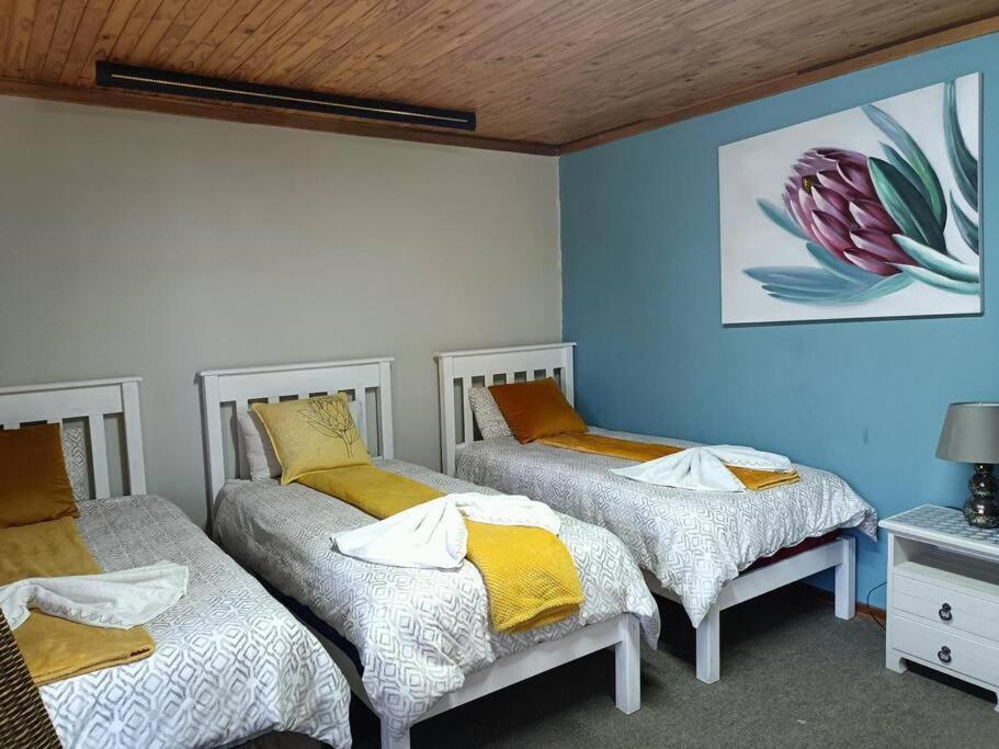 Family Suite - Photo 4