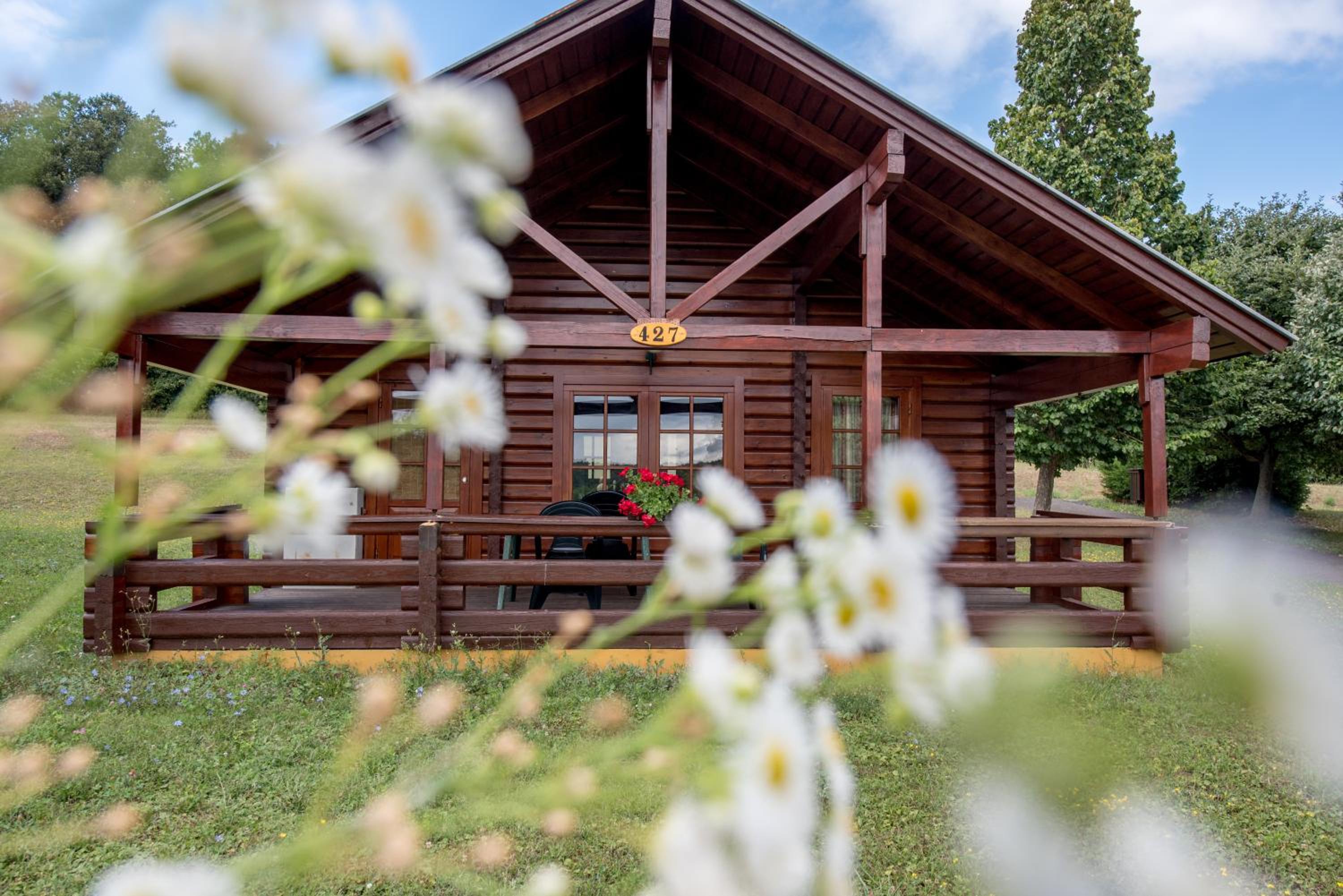 One-Bedroom Chalet with Sauna - Photo 12