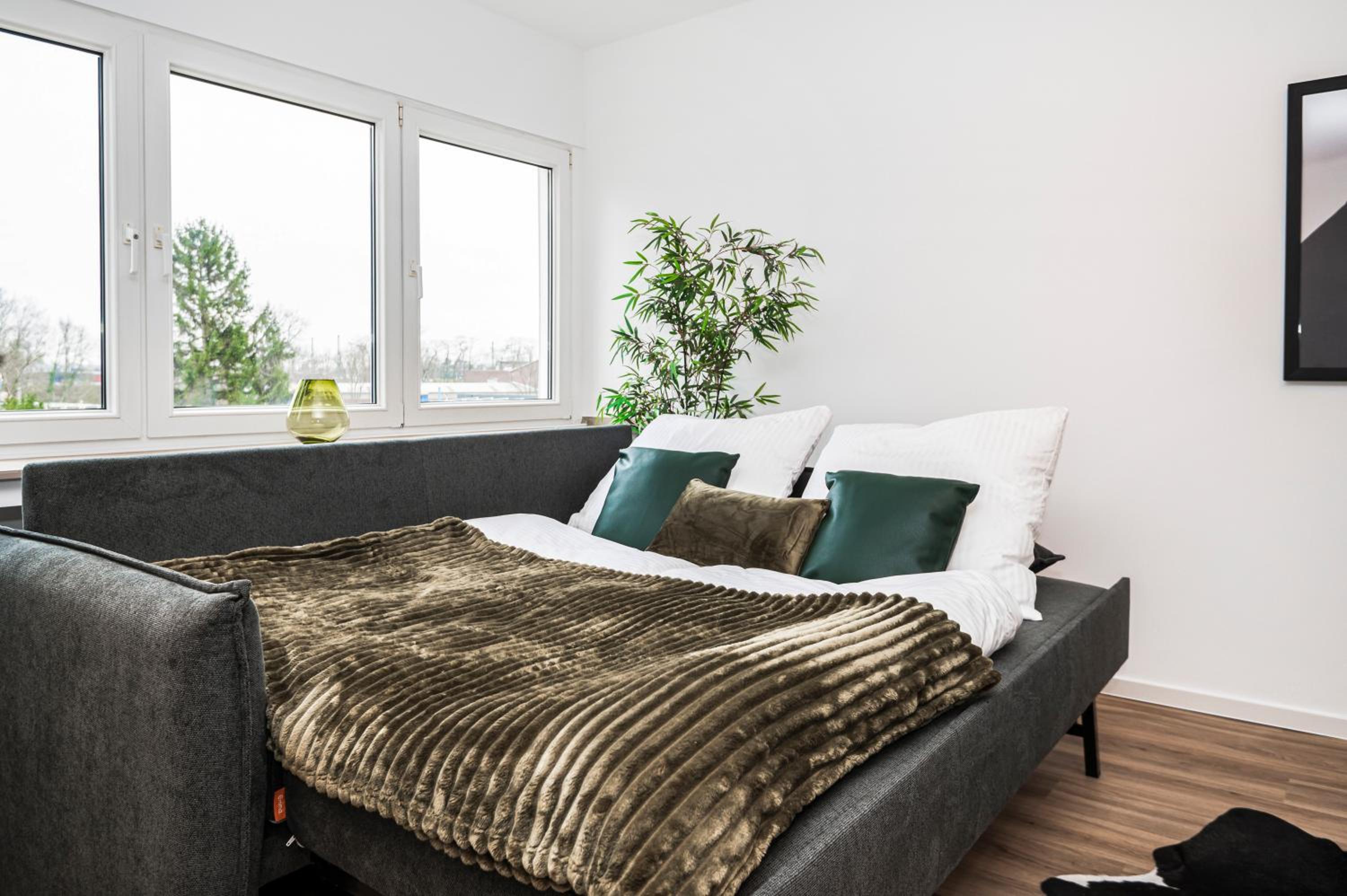 One-Bedroom Apartment photo 3
