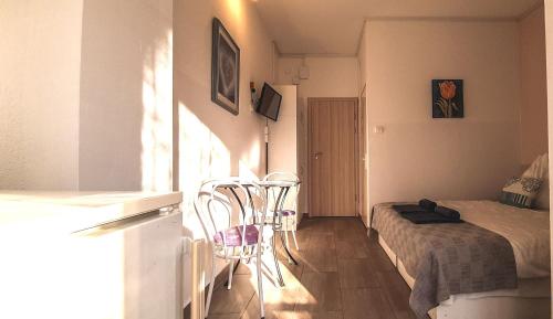 Studio with Balcony photo 2