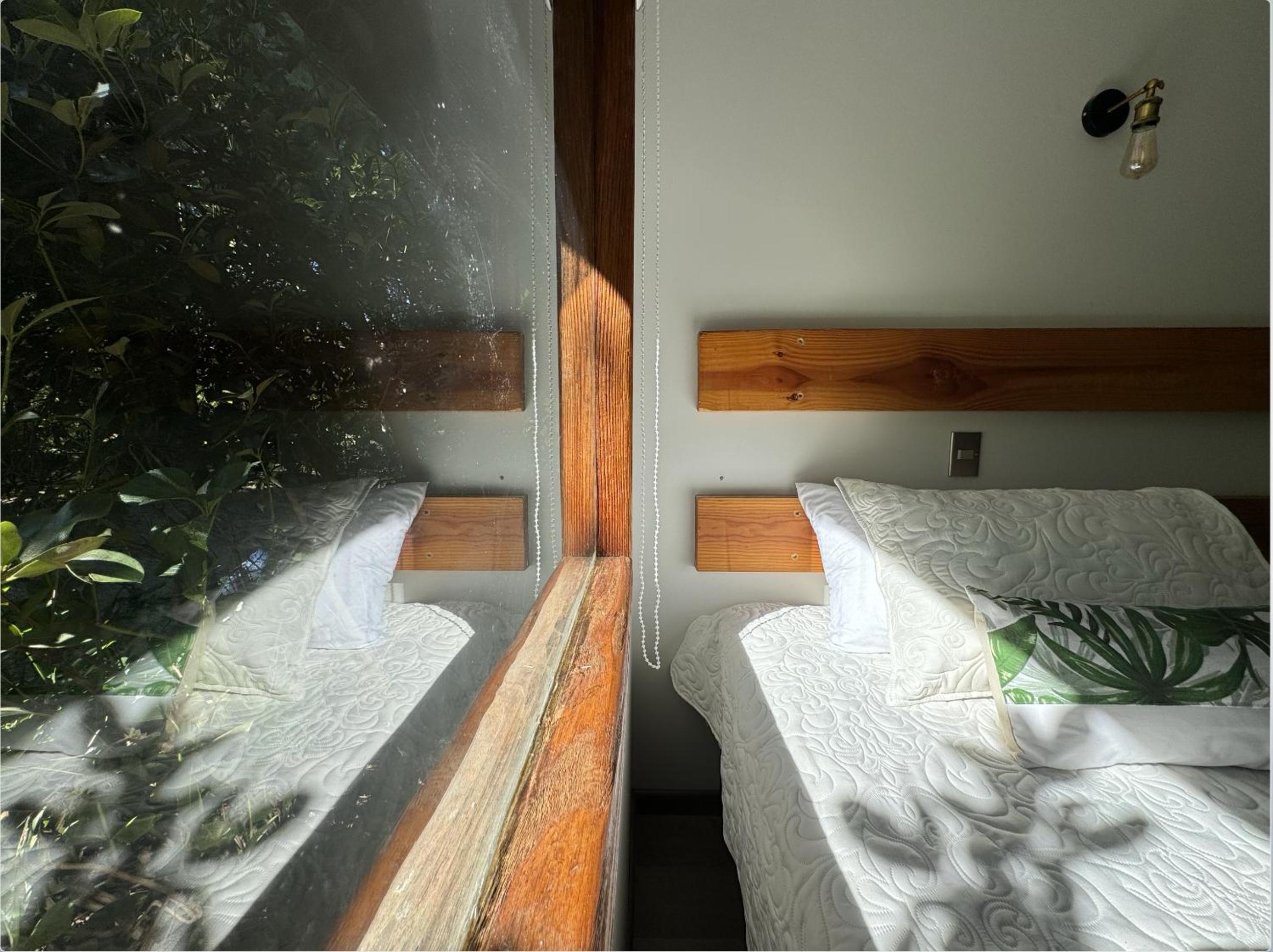 Twin Room photo 2