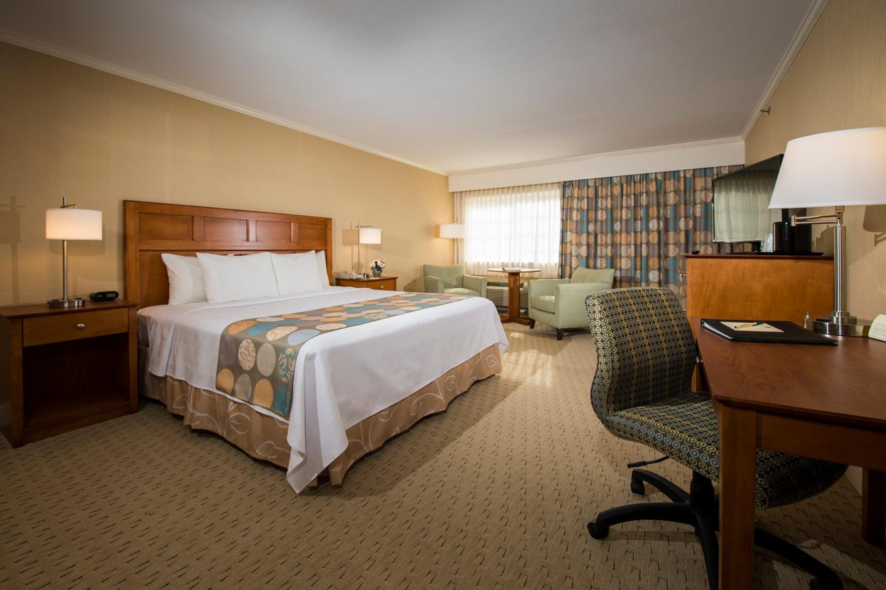 King Premium Room photo 1