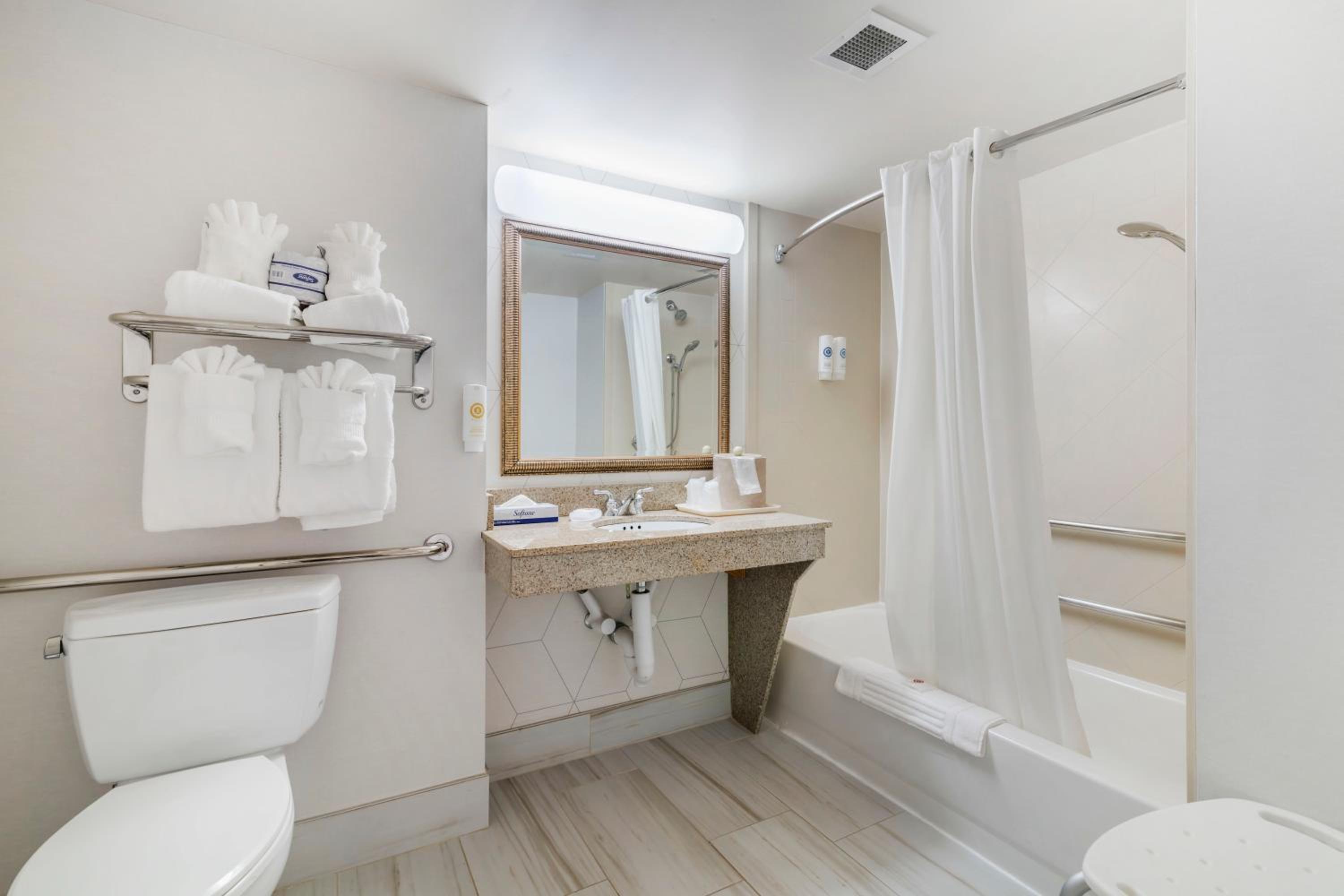 King Suite with Sofa Bed - Accessible/Non-Smoking - Photo 8
