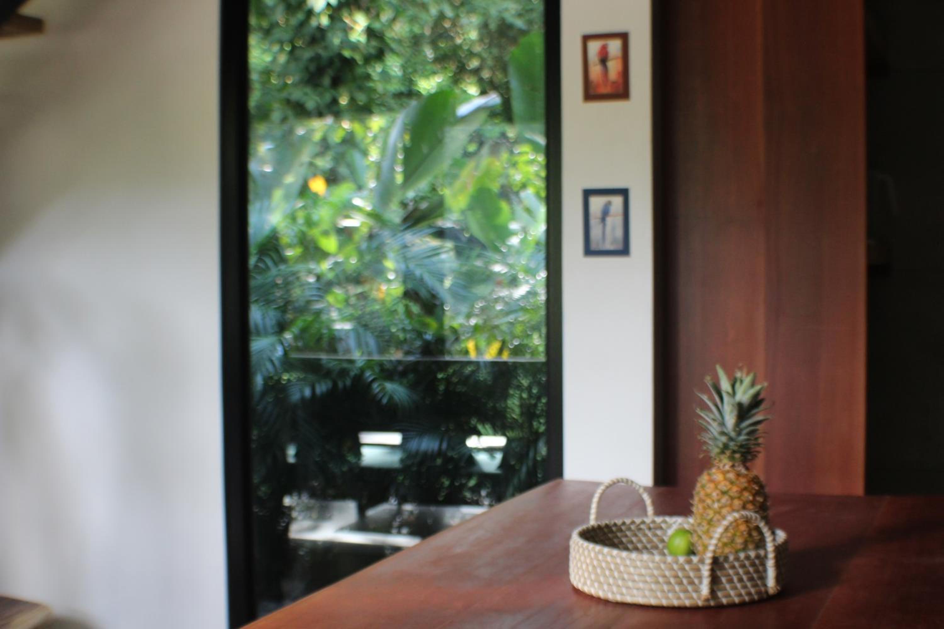 Three-Bedroom Villa photo 3