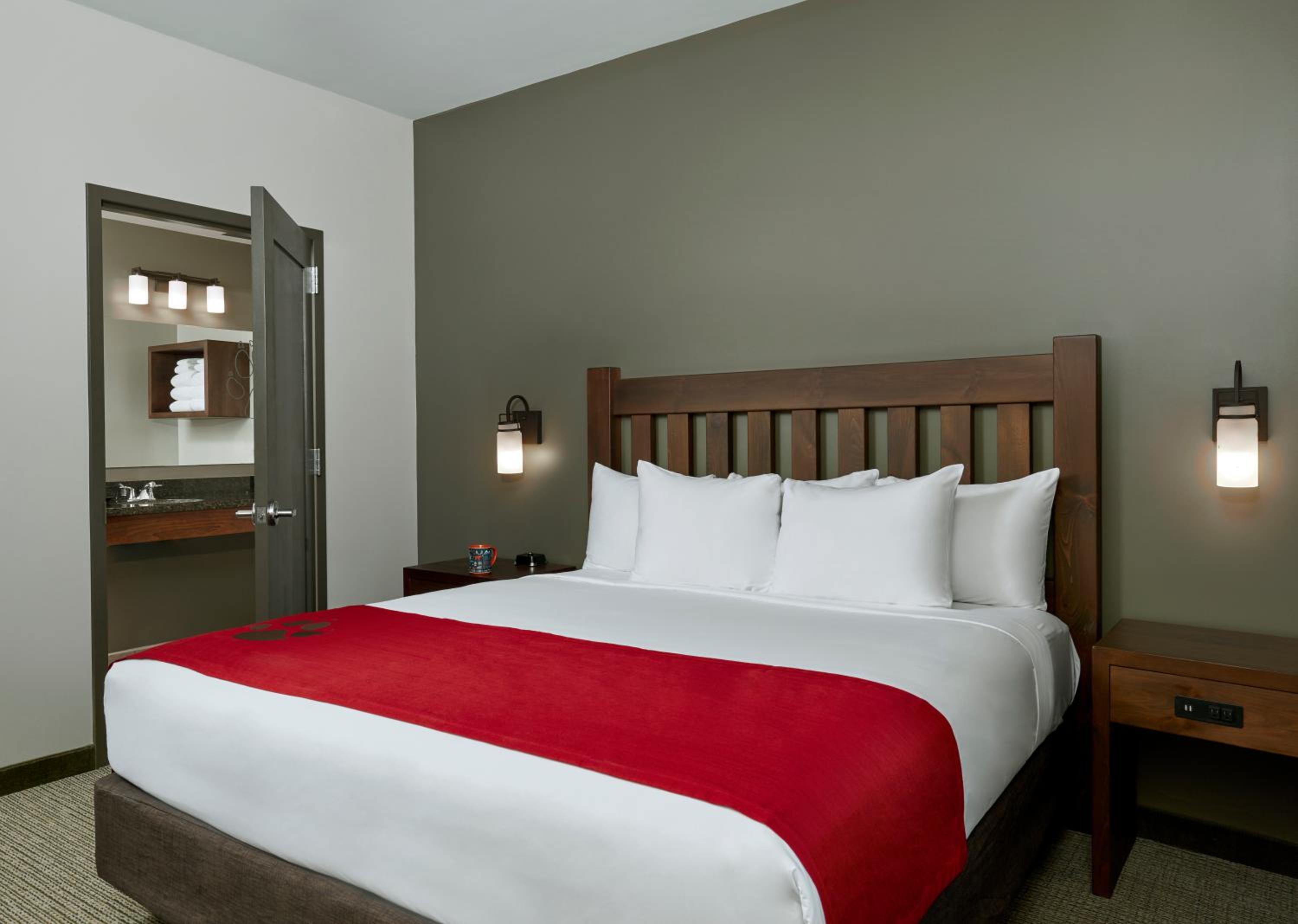 Grizzly Bear Suite photo 1