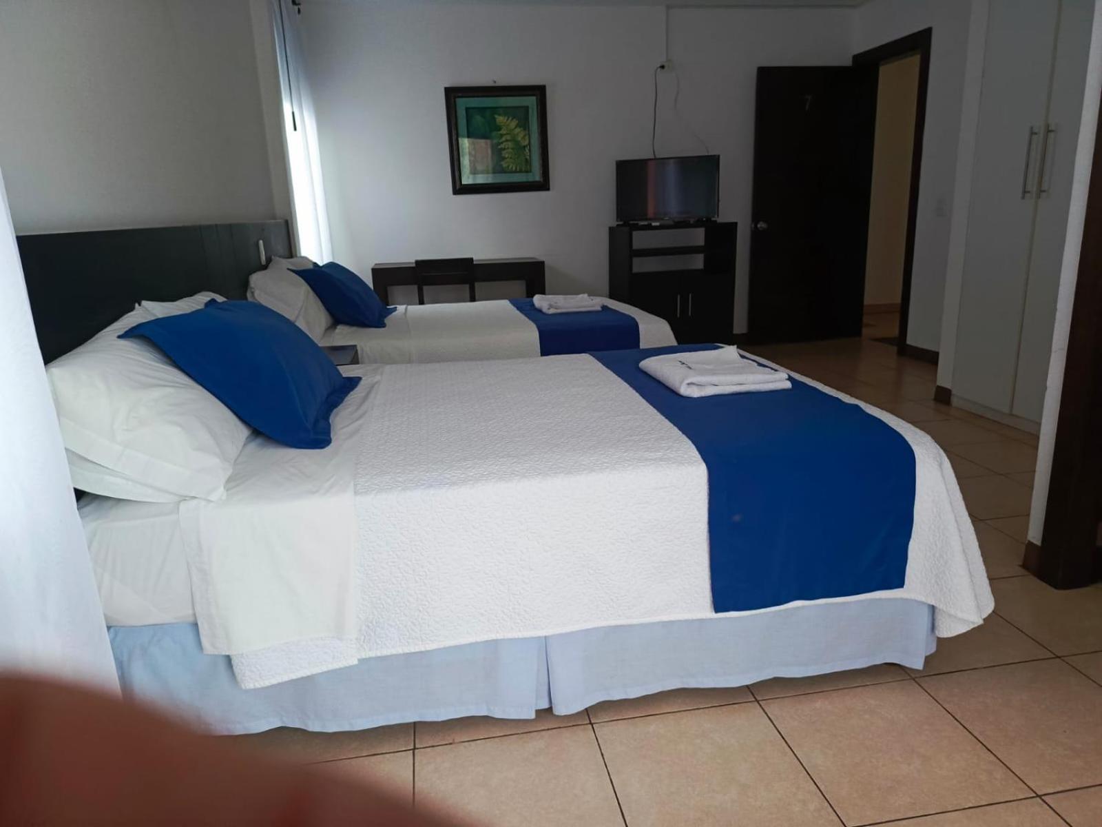 Twin Room photo 2