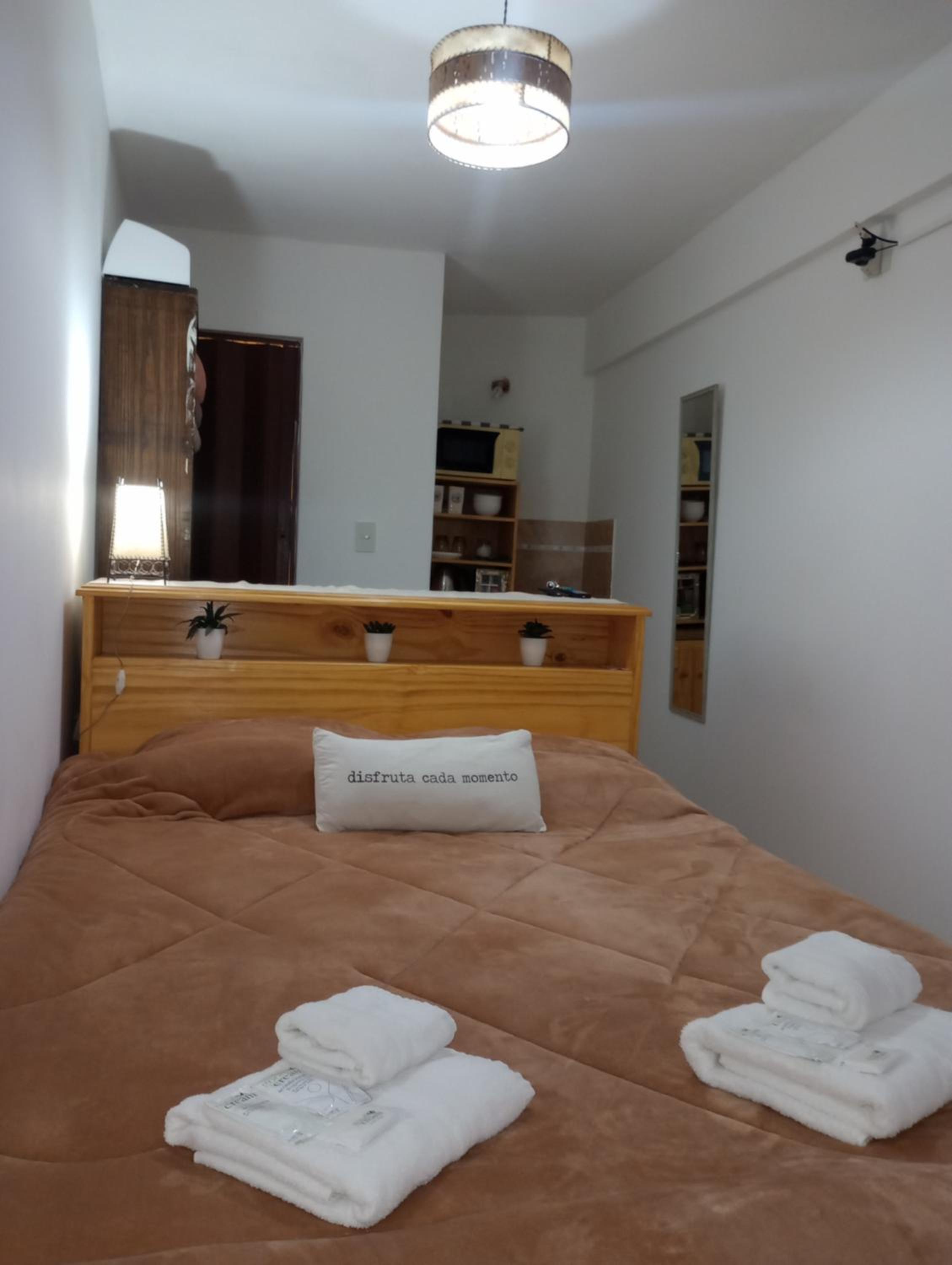 One-Bedroom Apartment photo 2