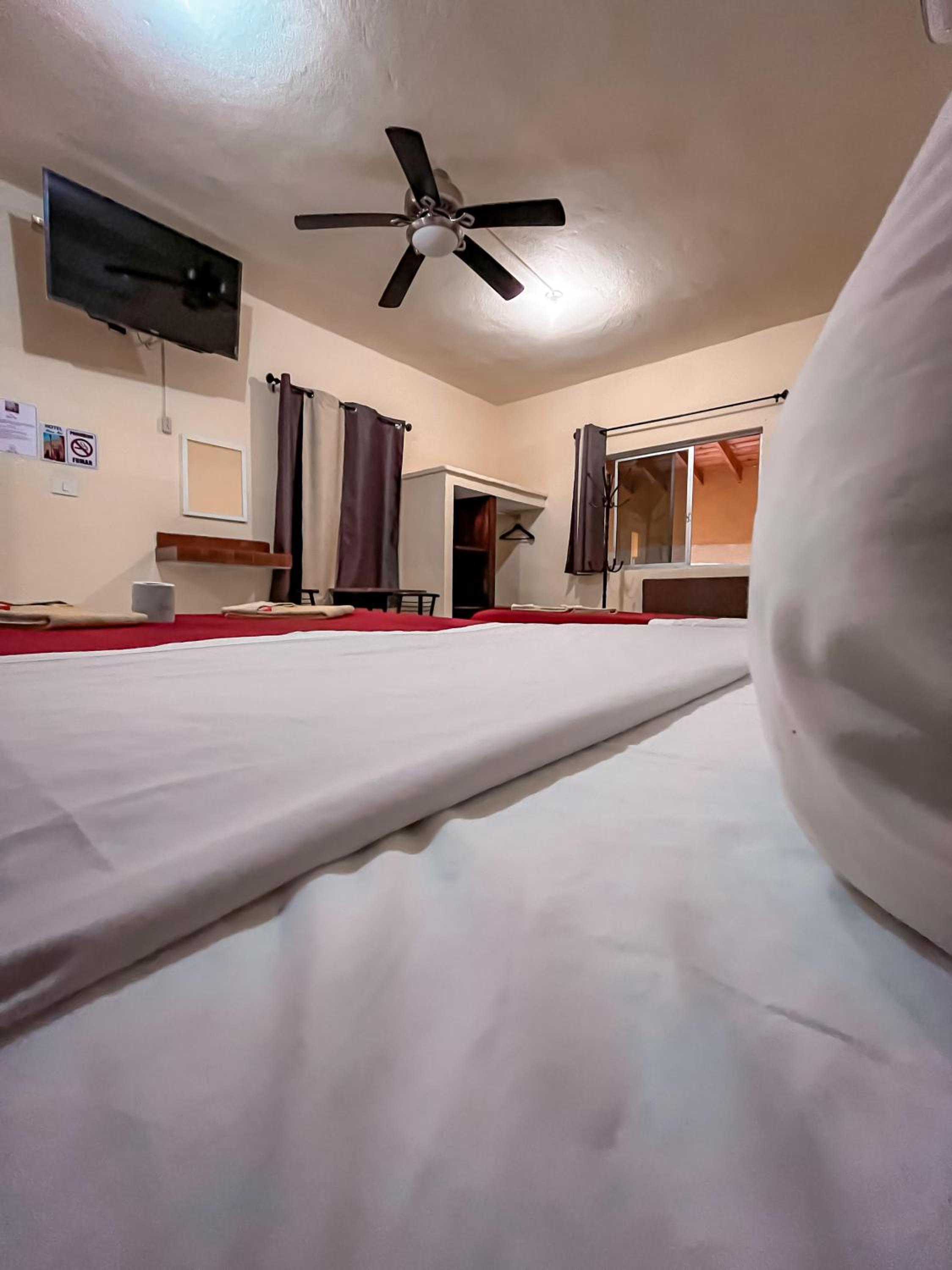 Twin Room - Photo 3