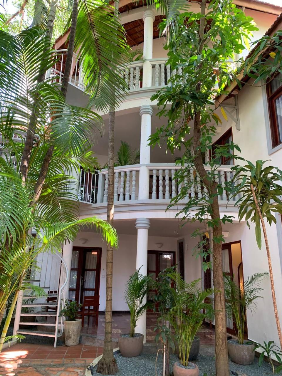 Jungle Comfort - Photo 4