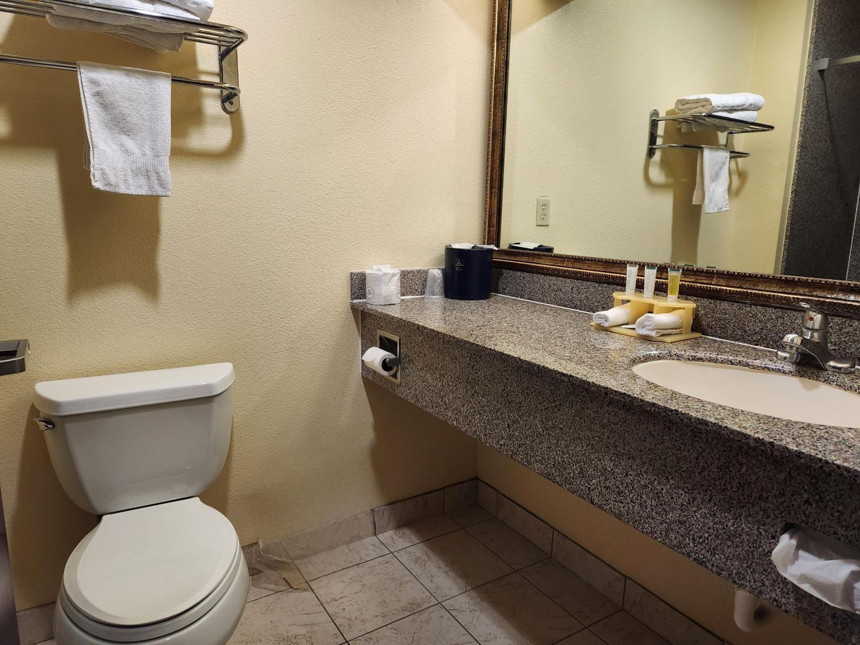 Deluxe King Room - Non-Smoking - Photo 8